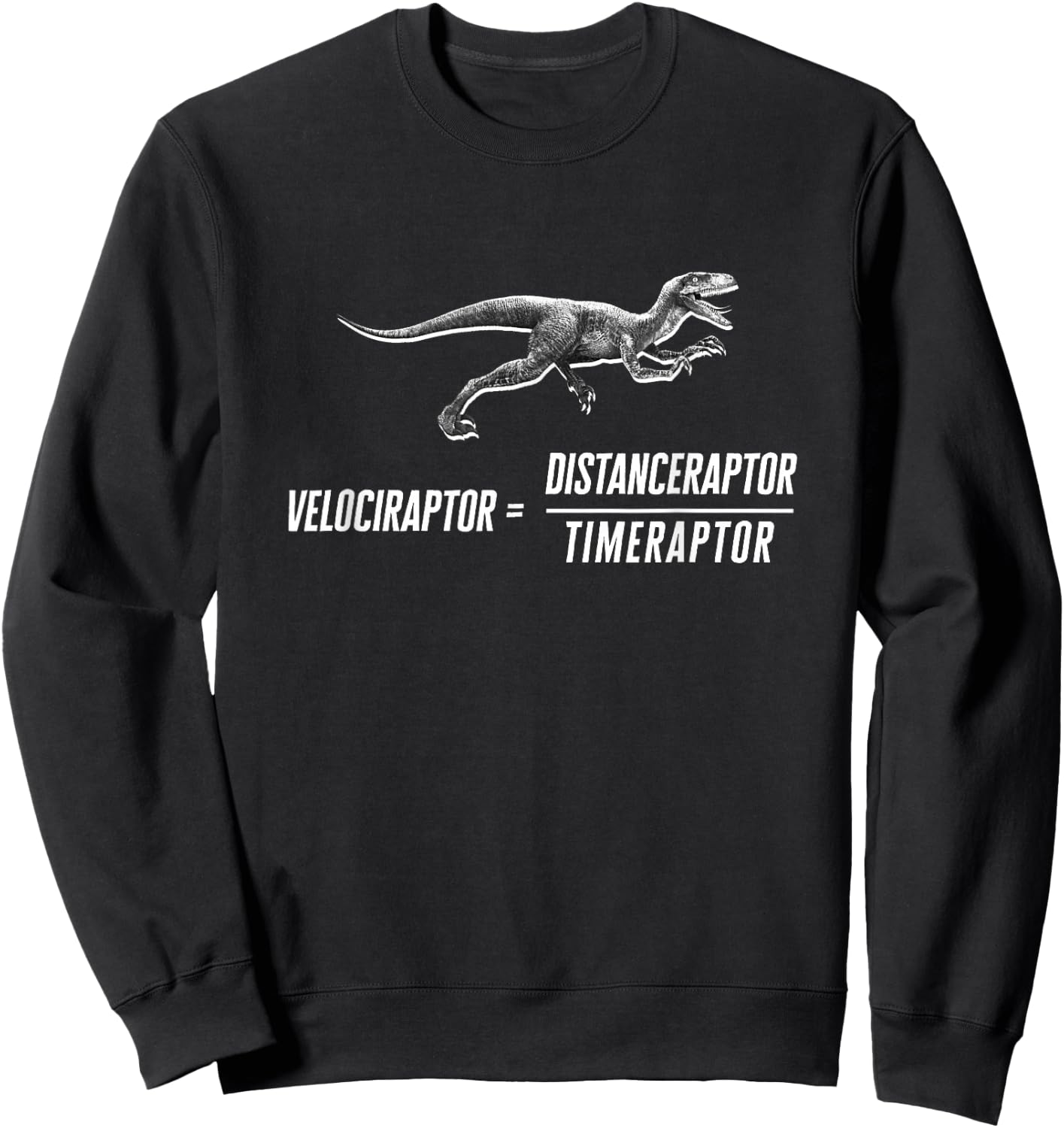 Math Geek Dinosaur Velociraptor Equation v2 Small Sweatshirt - Sweatshirt | Black