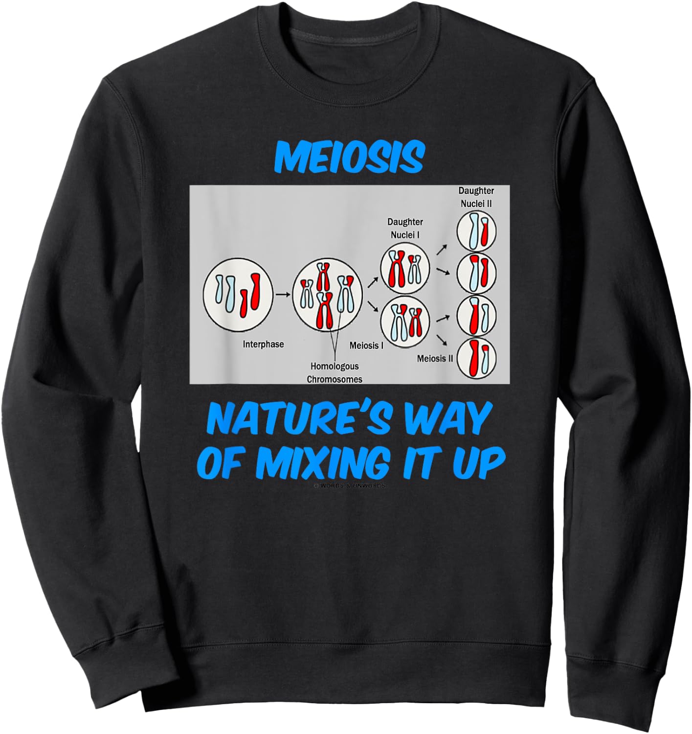 Meiosis Nature's Way Of Mixing It Up Cell Biology Humor Sweatshirt - Sweatshirt | Black
