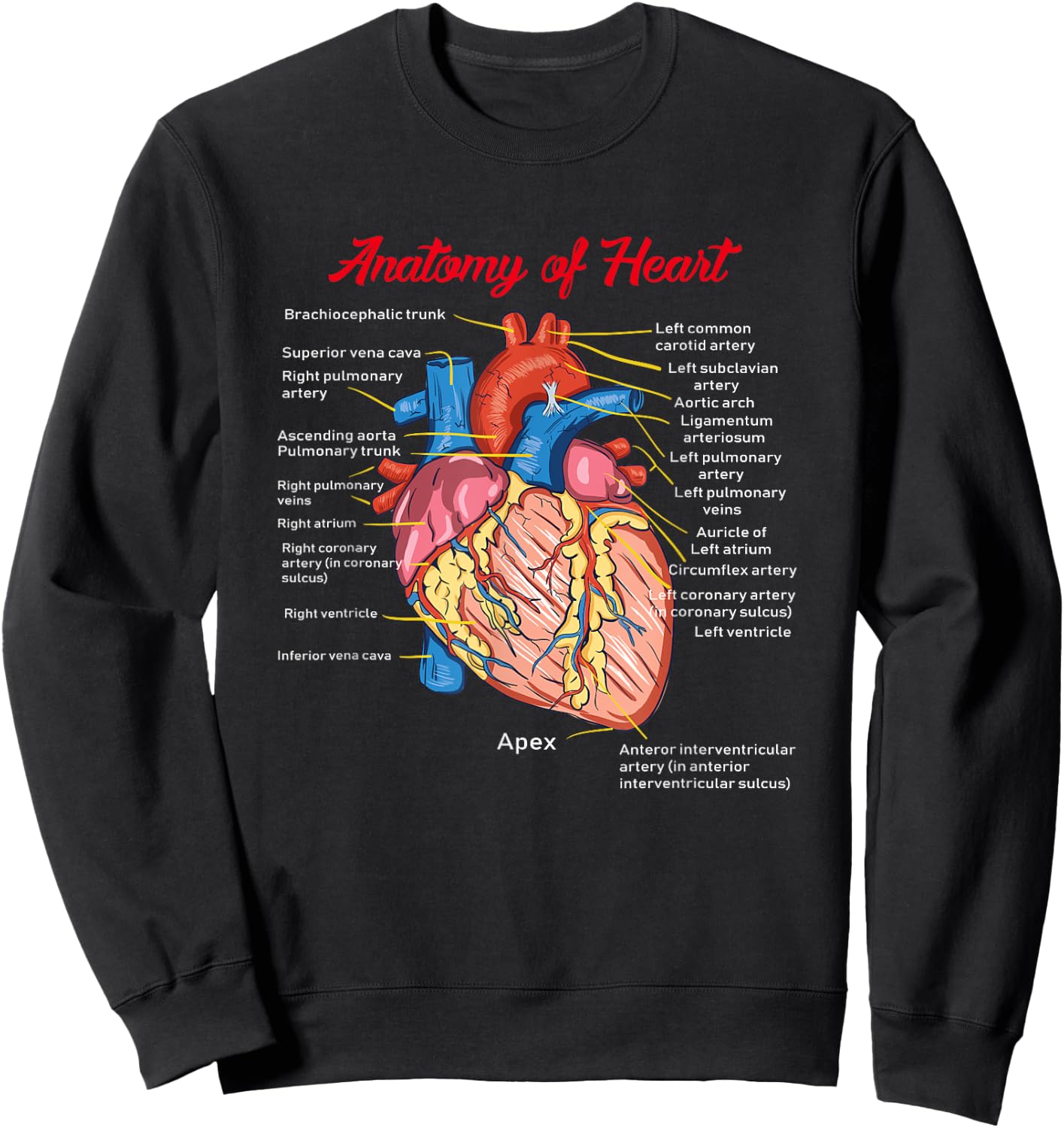 Nurse Anatomy of Heart Art Sweatshirt - Sweatshirt | Black