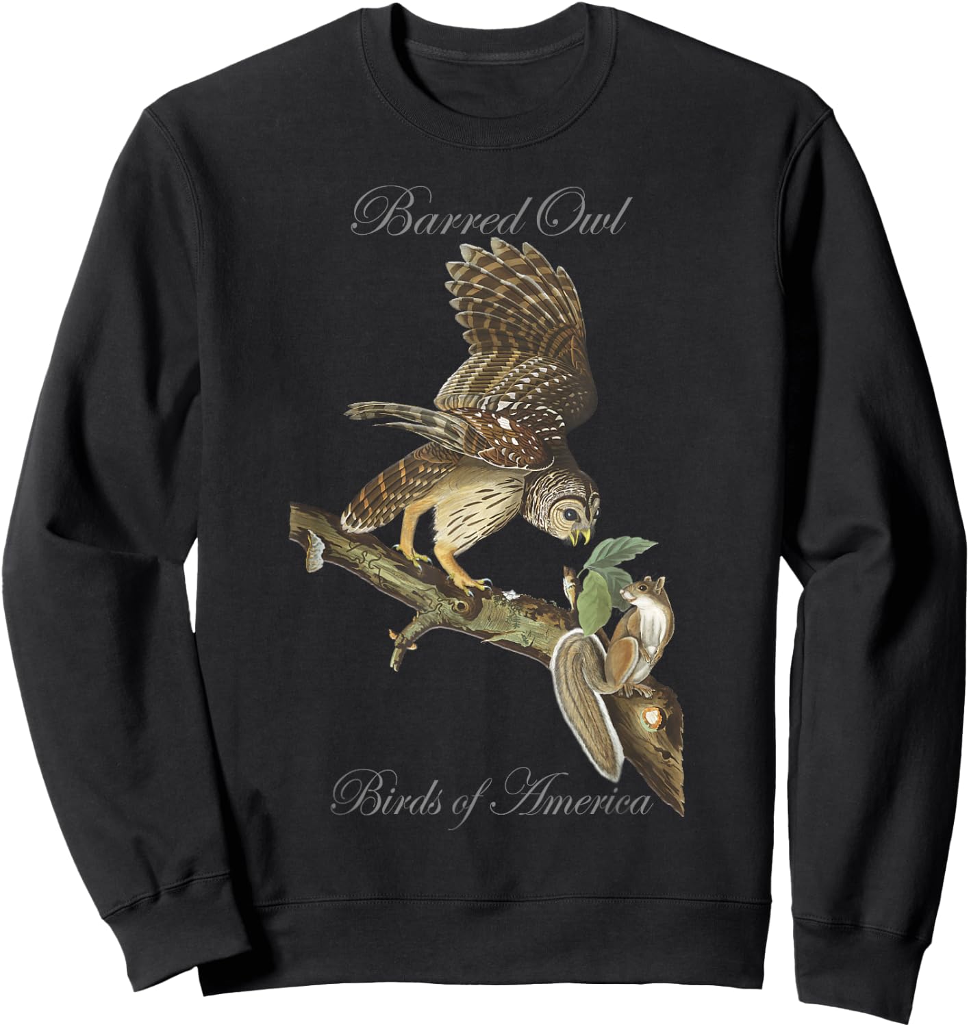 Barred Owl - Birds of America Series Audubon Sweatshirt - Sweatshirt | Black