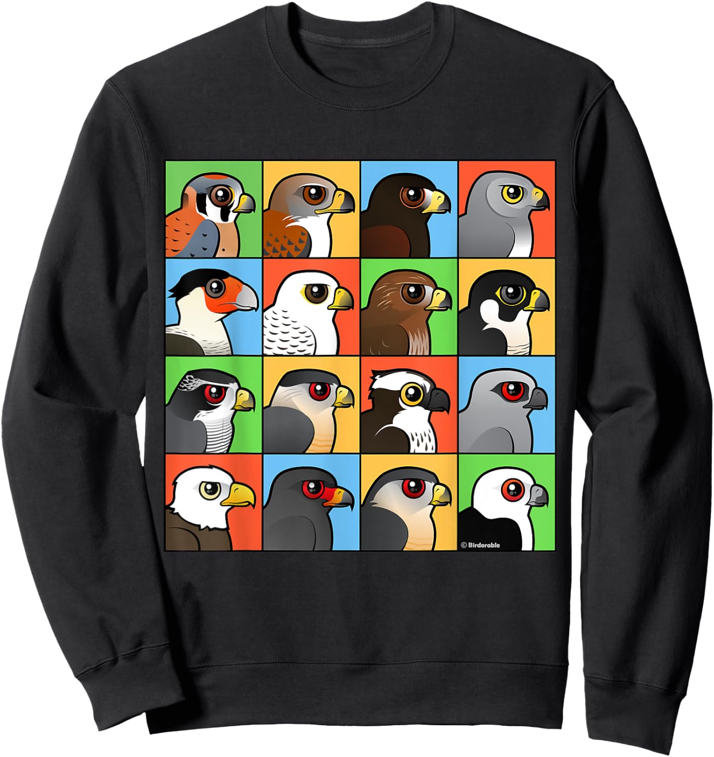 Birds of Prey with 16 Different Birdorable Raptors Sweatshirt - Sweatshirt | Black