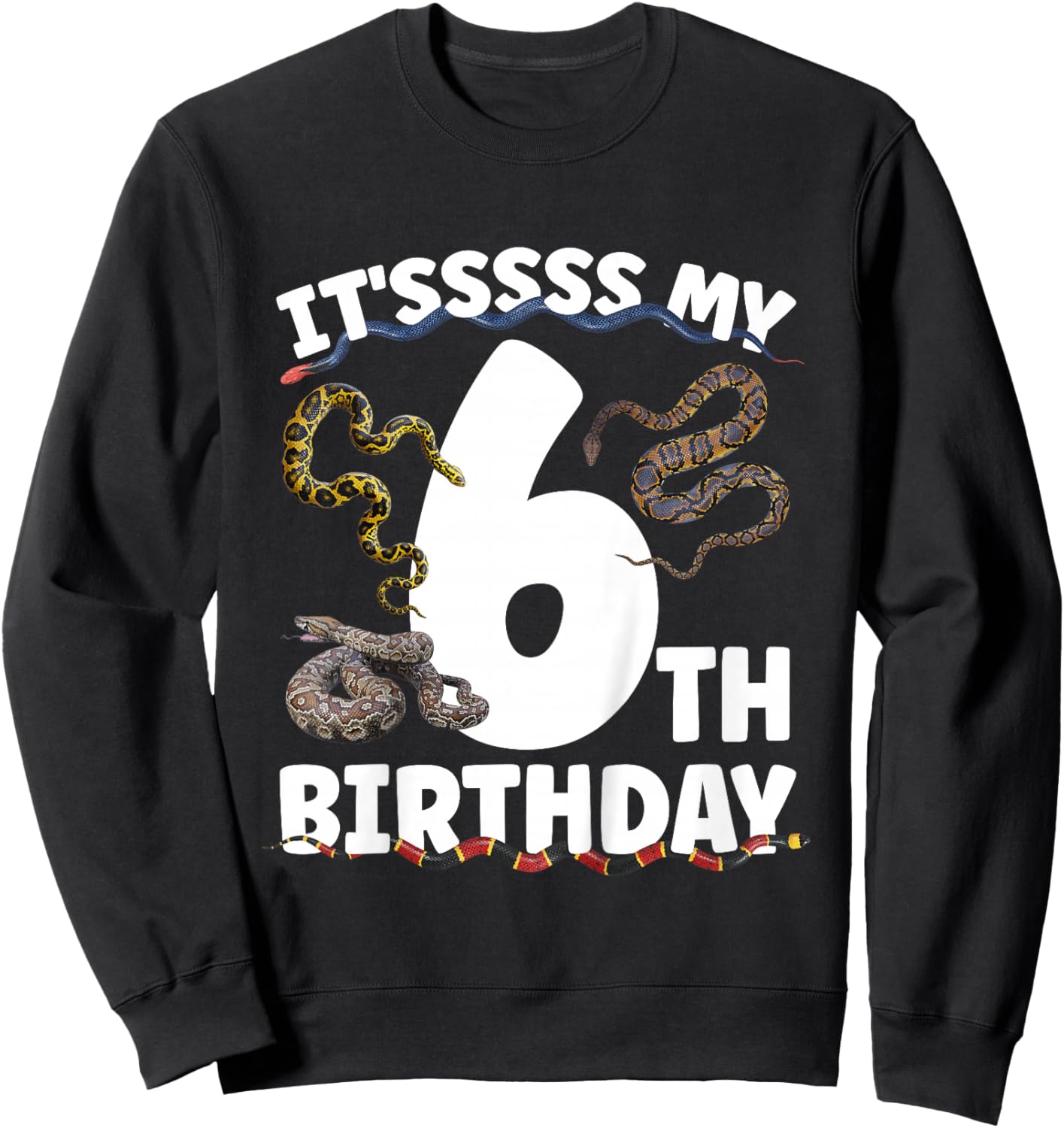 6th Snake Birthday Party 6 Year Old Snake Lover Birthday Sweatshirt - Sweatshirt | Black