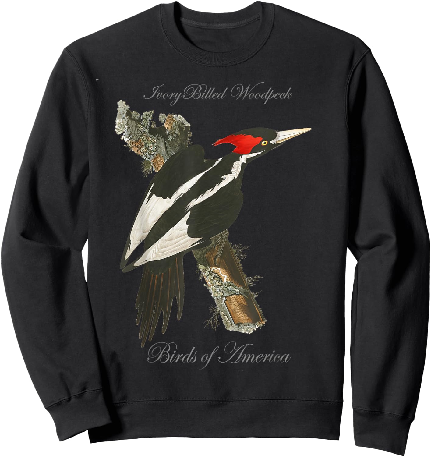 Ivory Billed Woodpecker - Birds of America Series Sweatshirt - Sweatshirt | Black