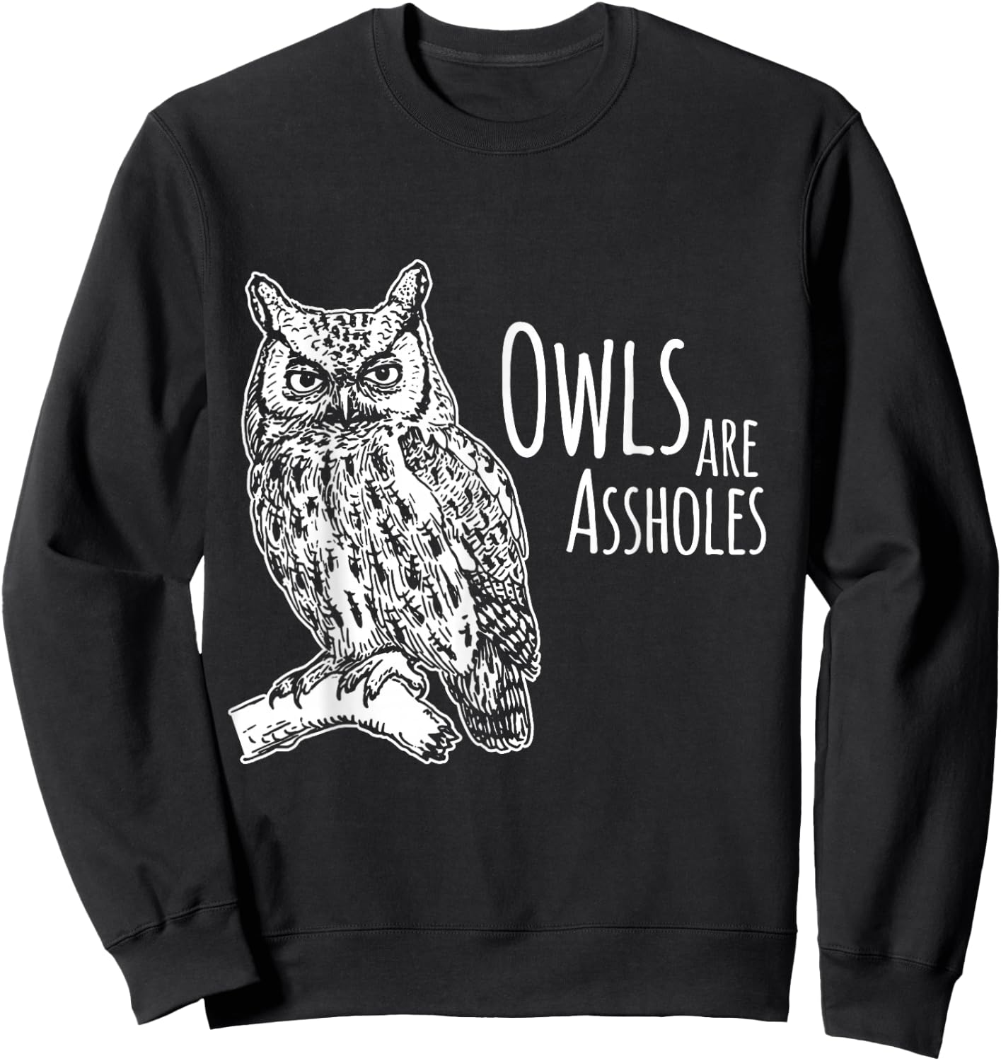 Owls Are Assholes Sweatshirt - Sweatshirt | Black