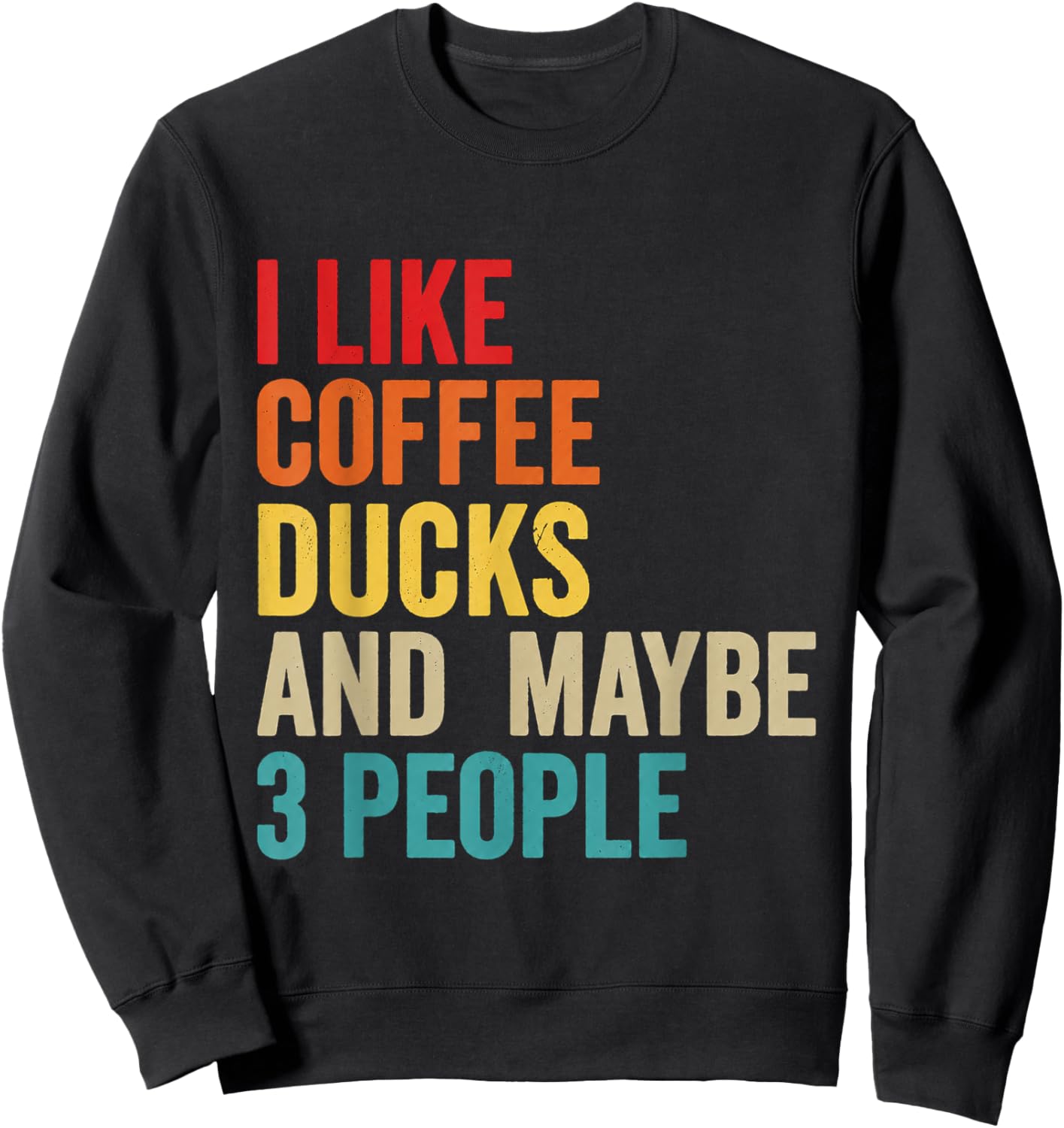 I Like Coffee Ducks and Maybe 3 People Funny Introvert Sweatshirt - Sweatshirt | Black