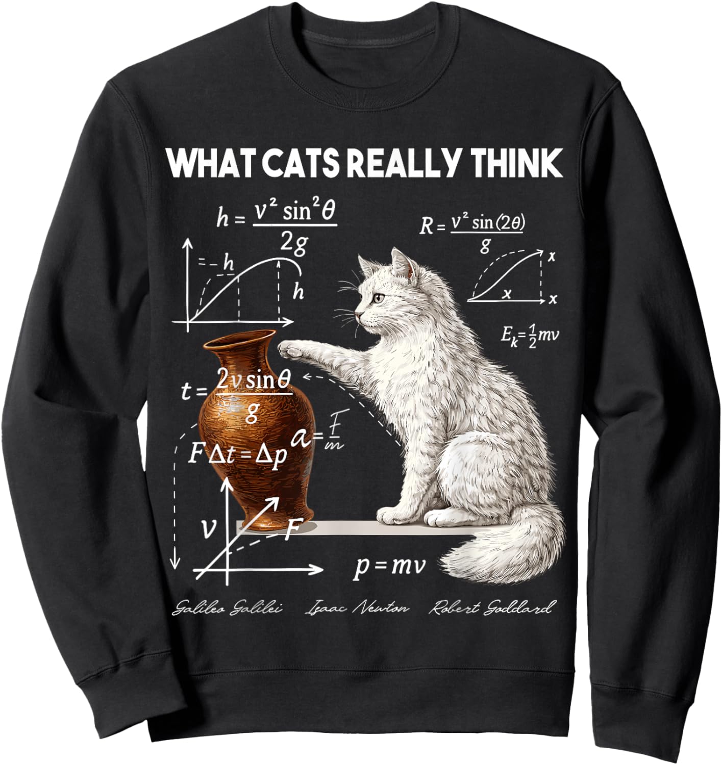 Funny Physics What Cats Really Think Math Humor Sweatshirt - Sweatshirt | Black