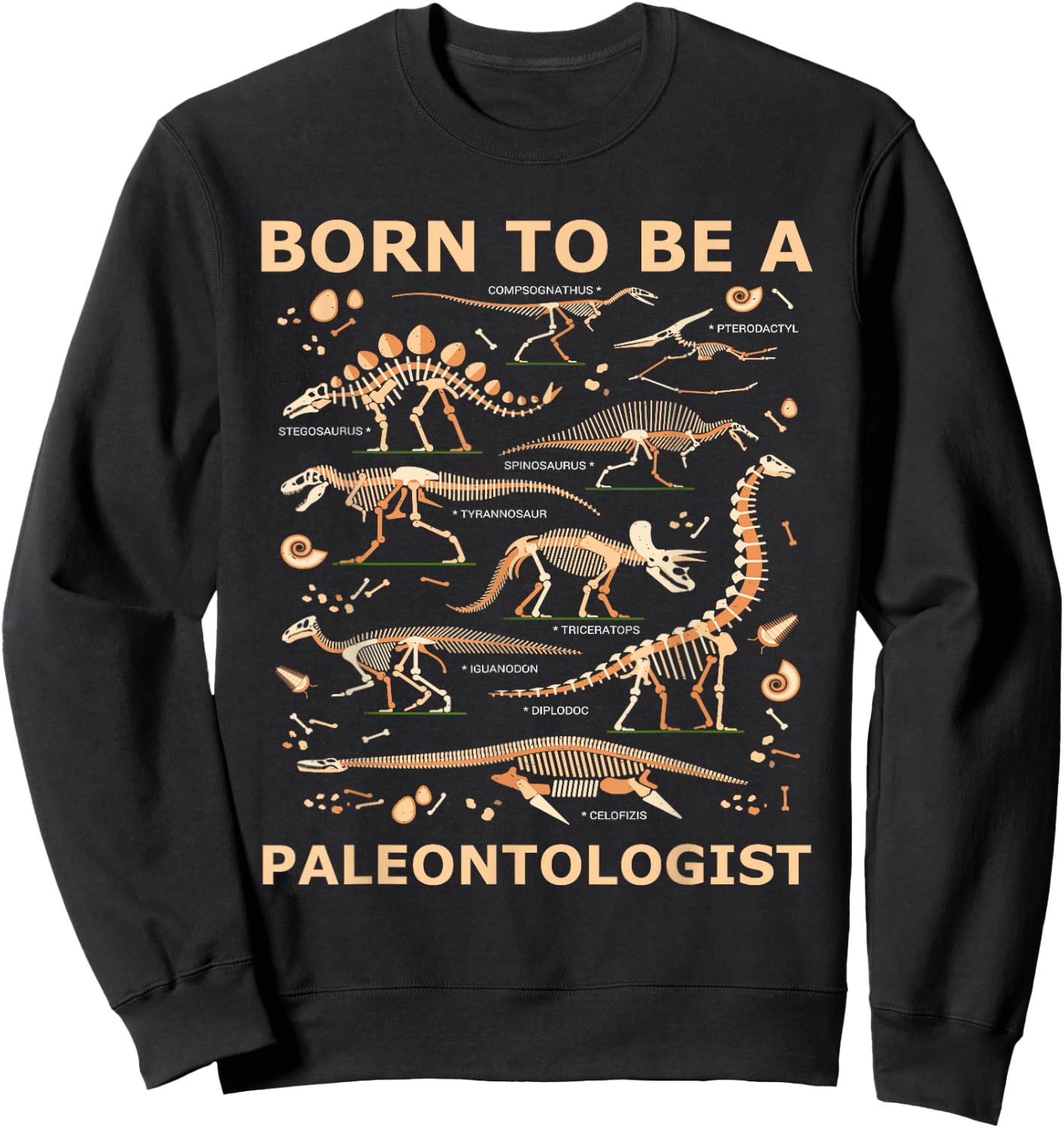 Born to be a PALEONTOLOGIST Forced to go to school Sweatshirt - Sweatshirt | Black