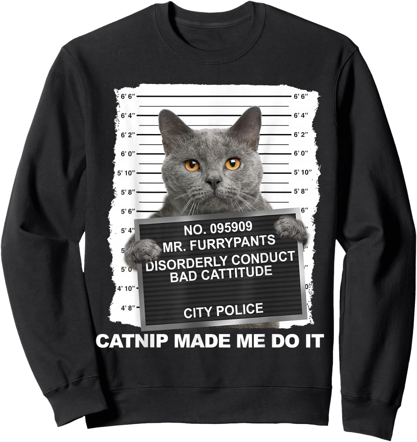 Catnip Made Me Do It Funny Cat Small Sweatshirt - Sweatshirt | Black