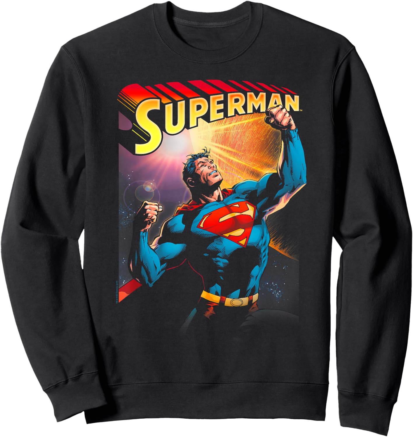 DC Comics Superman Victory -Adult , Black, Small, Short Sleeve Sweatshirt - Sweatshirt | Black