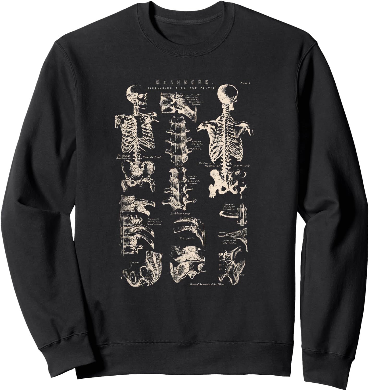 Vintage Backbone Illustration Human Anatomy Medical Science Sweatshirt - Sweatshirt | Black