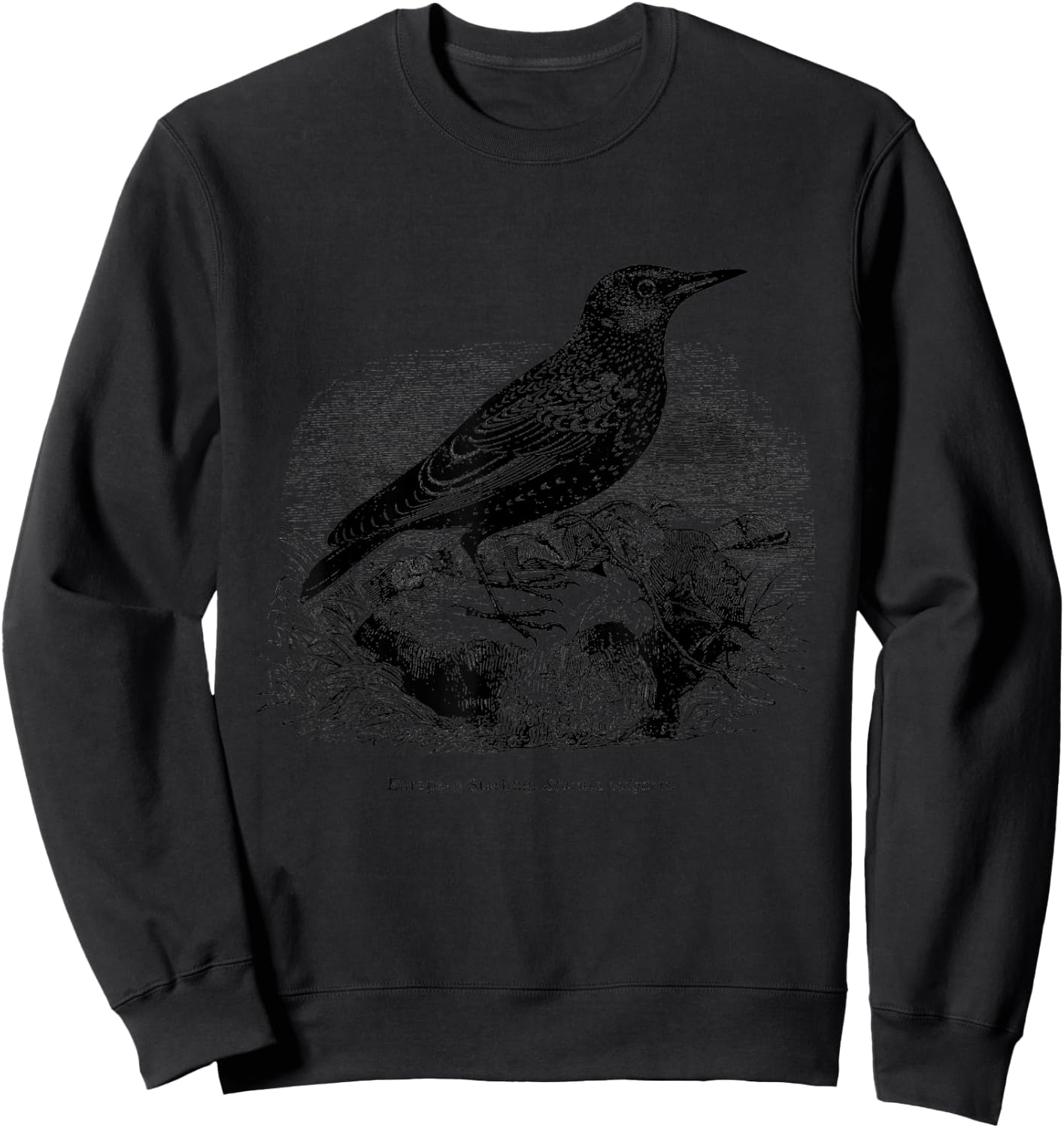 Common European Starling Vintage Bird Art Sweatshirt - Sweatshirt | Black