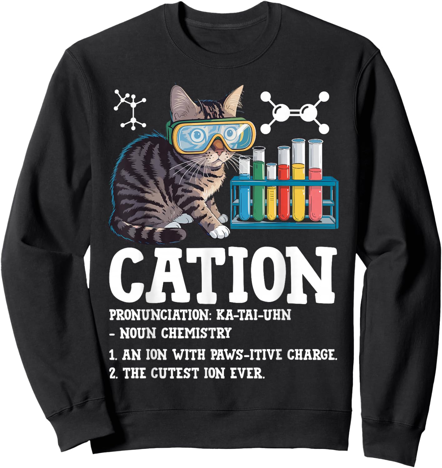 Cation Funny Chemistry Science Teacher Cat Men Women Kids Sweatshirt - Sweatshirt | Black