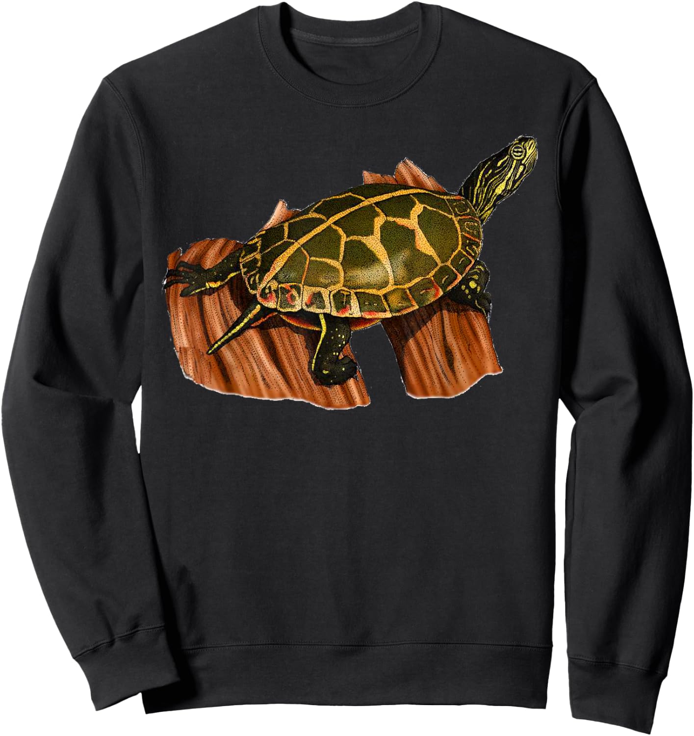 Painted Turtle Shirt - Gift Turtle Lovers Sweatshirt - Sweatshirt | Black