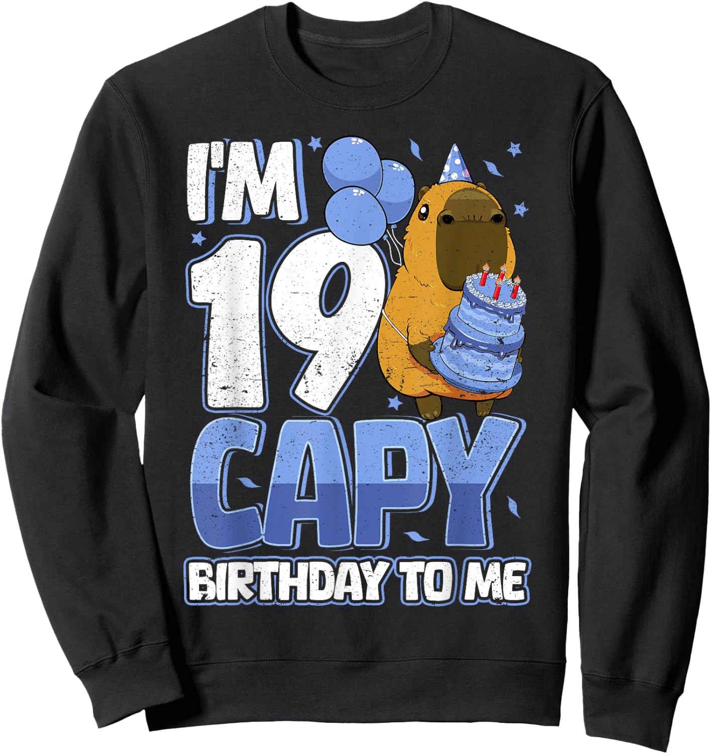19 Years Capy Birthday to me Boys 19th Birthday Capybara Sweatshirt - Sweatshirt | Black