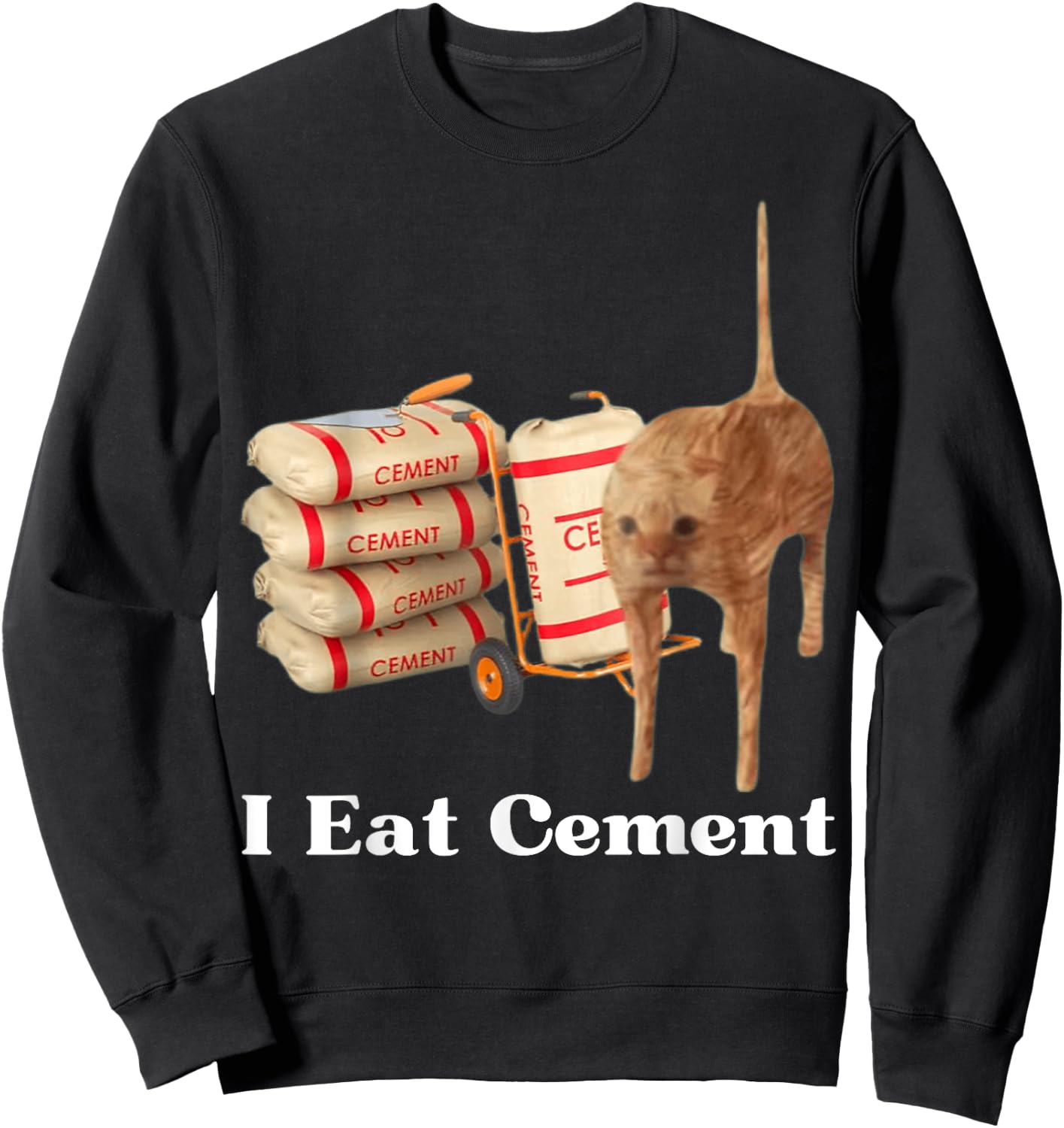 I Eat Cement Funny Cat Meme Internet Memes Funny Memes Gen-Z Sweatshirt - Sweatshirt | Black