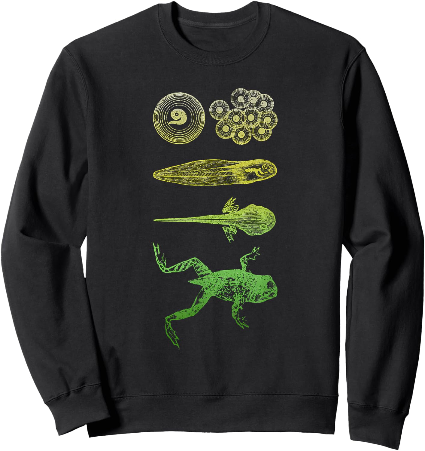 Frog Tadpole Metamorphosis Life Cycle Biology Sweatshirt - Sweatshirt | Black