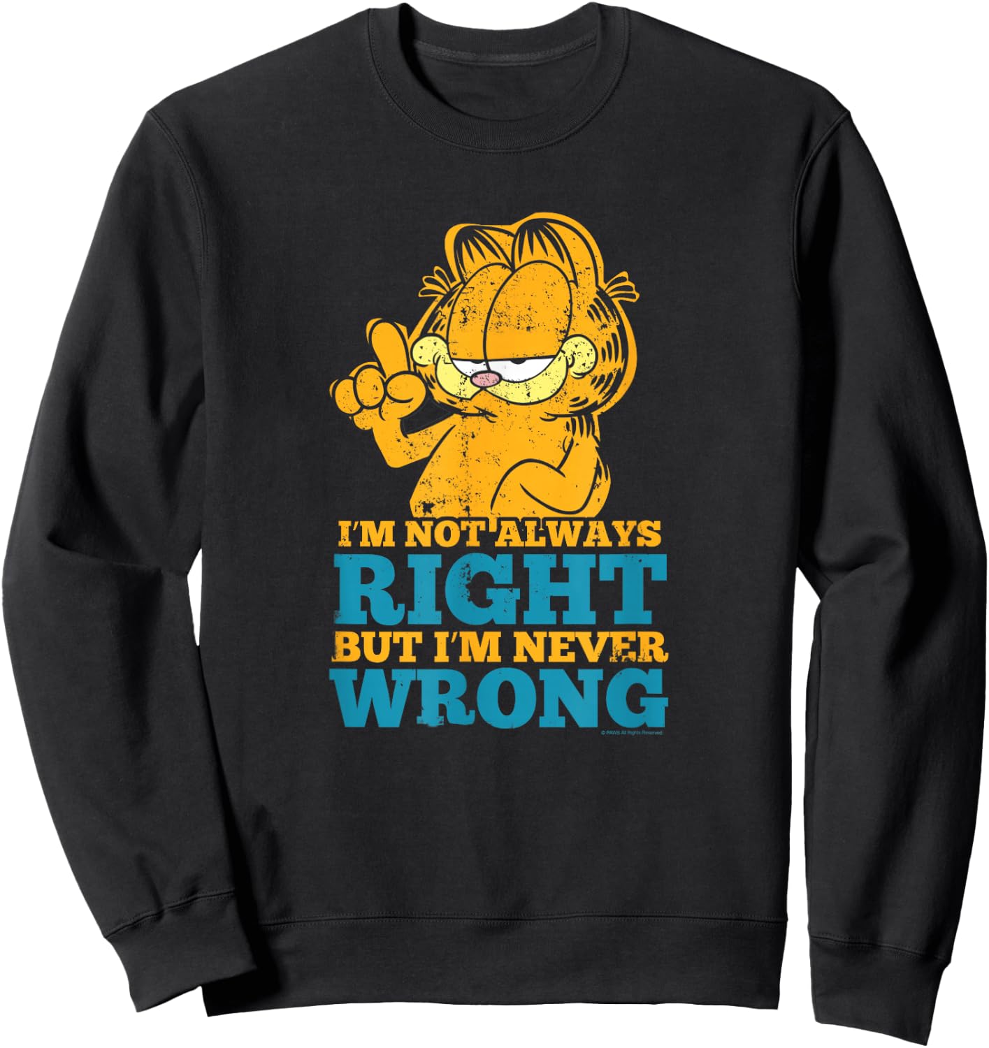 Garfield Never Wrong Sweatshirt - Sweatshirt | Black