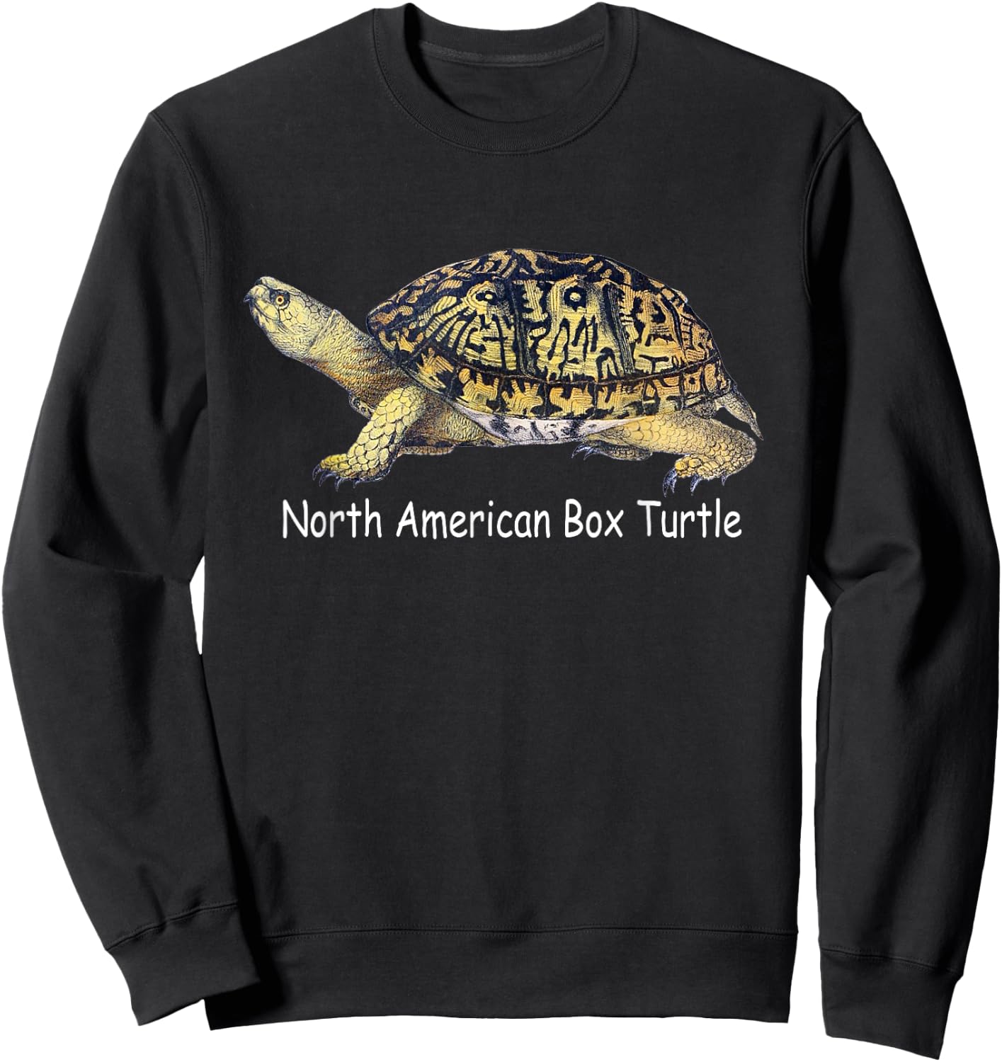 North American Box Turtle Sweatshirt - Sweatshirt | Black