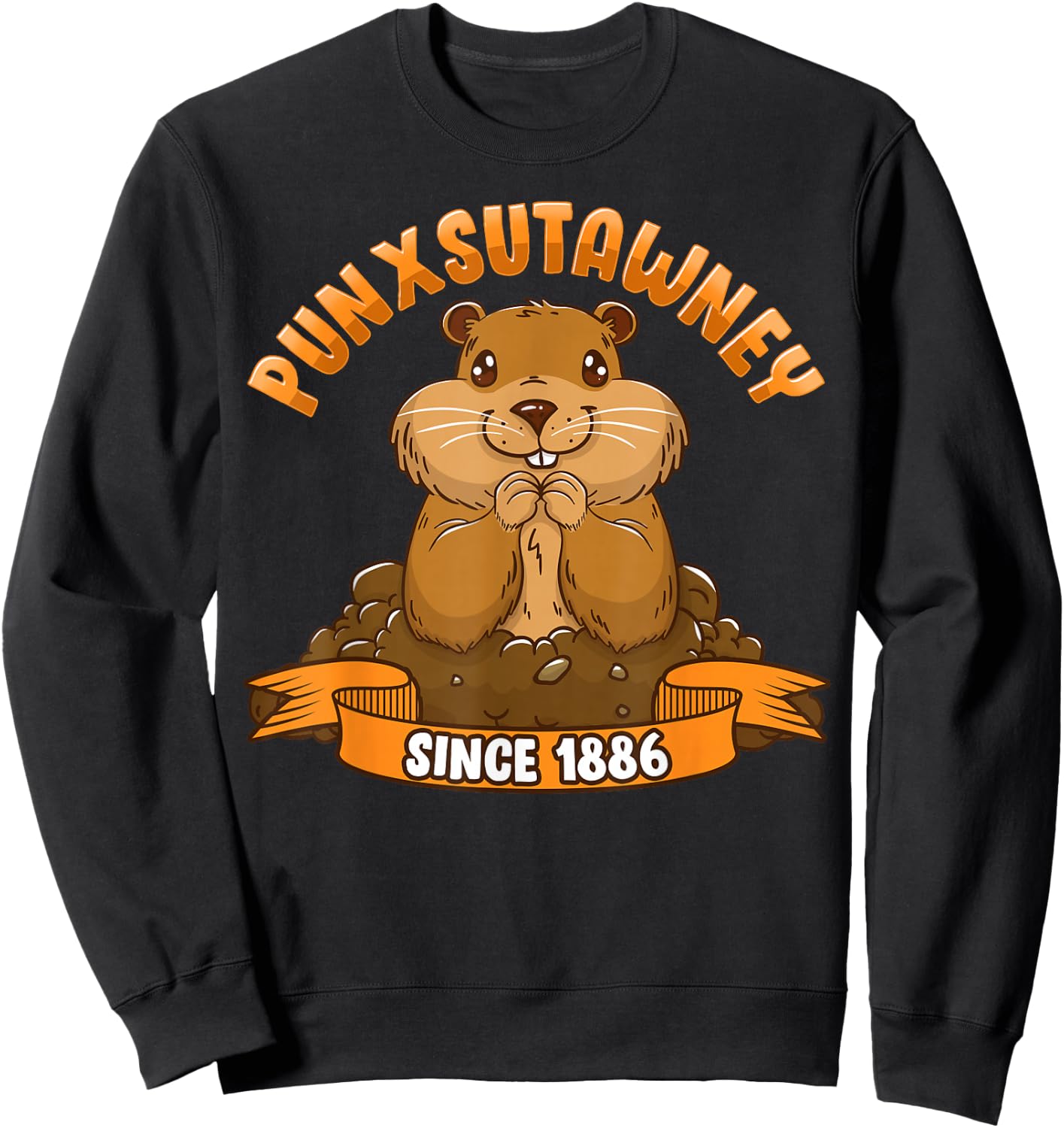 Funny Groundhog Day Phil Cute Ground Hog Punxsutawney Sweatshirt - Sweatshirt | Black