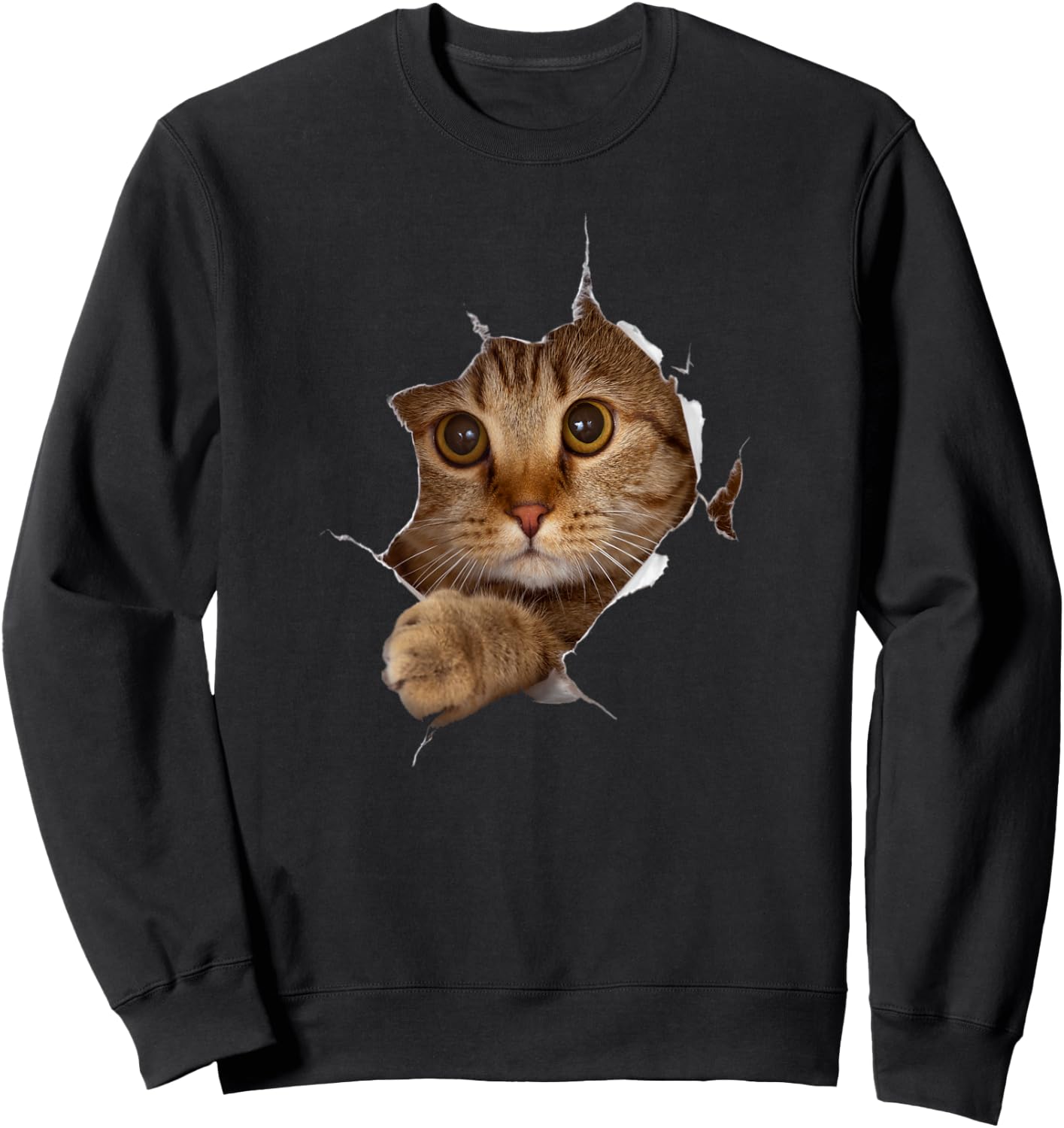 Sweet Kitten Torn Cloth - Funny Cat Lover Cat Owner Cat Lady Sweatshirt - Sweatshirt | Black