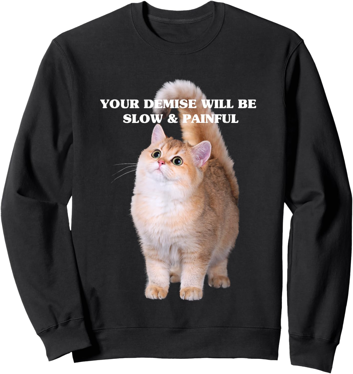Cute Kitten Your Demise Will Be Slow & Painful Sweatshirt - Sweatshirt | Black