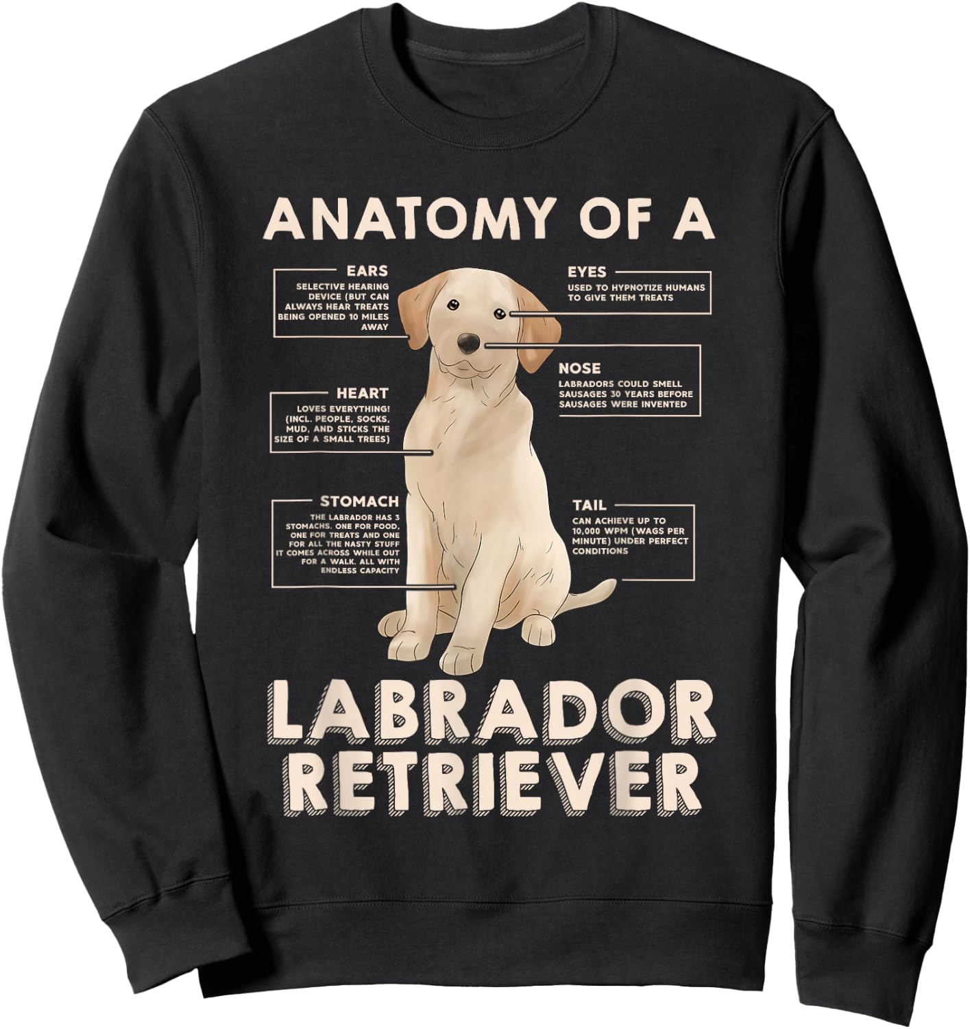 Funny Anatomy of a Labrador Retriever Graphic with Saying Sweatshirt - Sweatshirt | Black