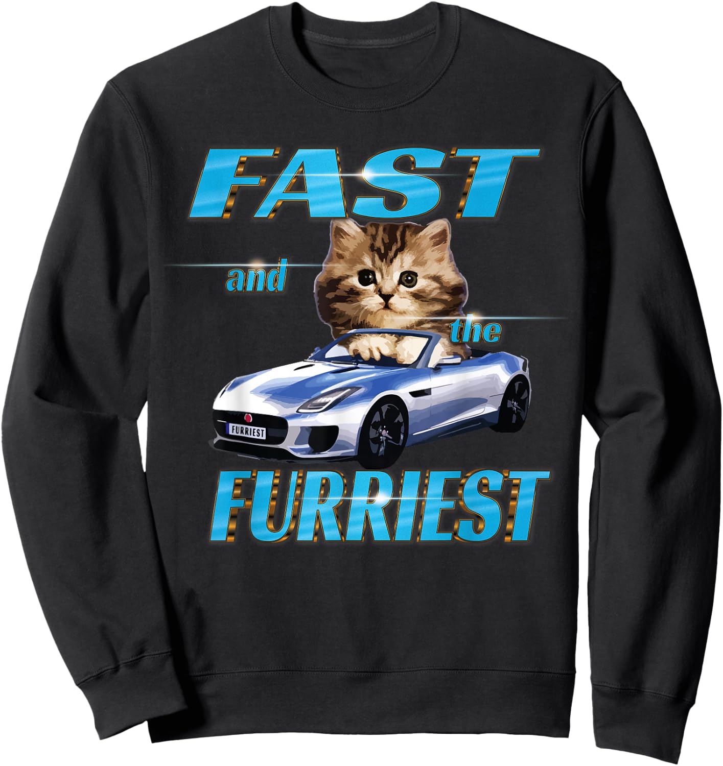 Fast and the Furriest Cats in cars Sweatshirt - Sweatshirt | Black