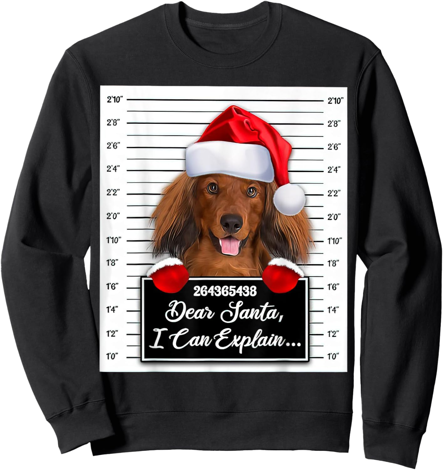 Dear Santa I Can Explain Funny Christmas Dachshund Xmas Sweatshirt - Sweatshirt | Black