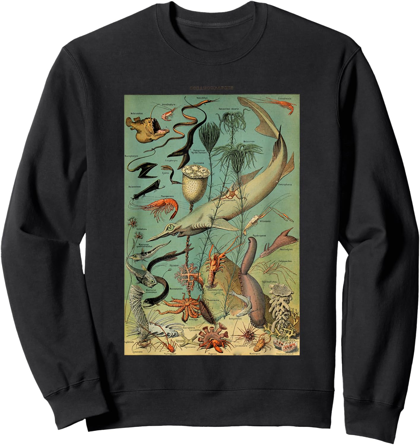 Vintage Inspired Ocean Sealife Chart Sweatshirt - Sweatshirt | Black