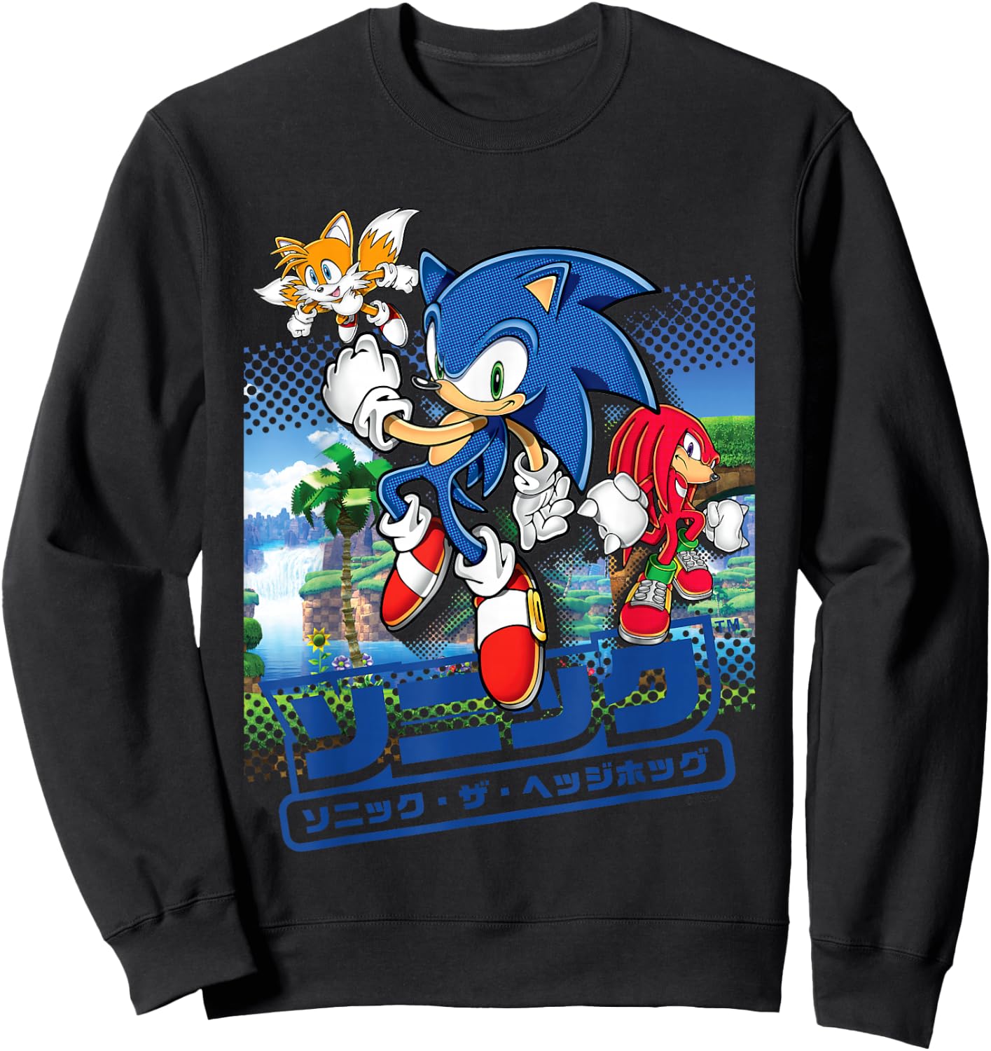 Sonic The Hedgehog - Sonic & Friends Sweatshirt - Sweatshirt | Black