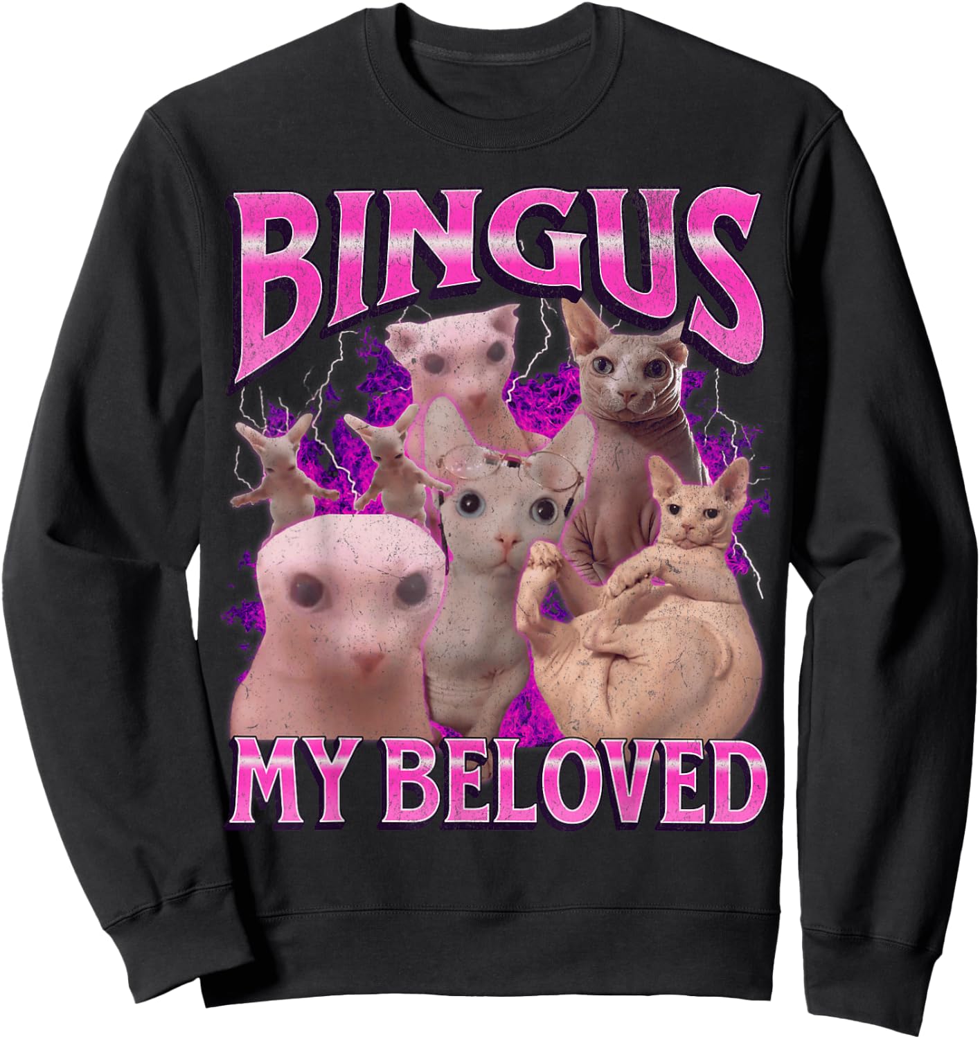 Bingus My Beloved Funny Sphinx Cat Meme Bootleg Graphic Sweatshirt - Sweatshirt | Black