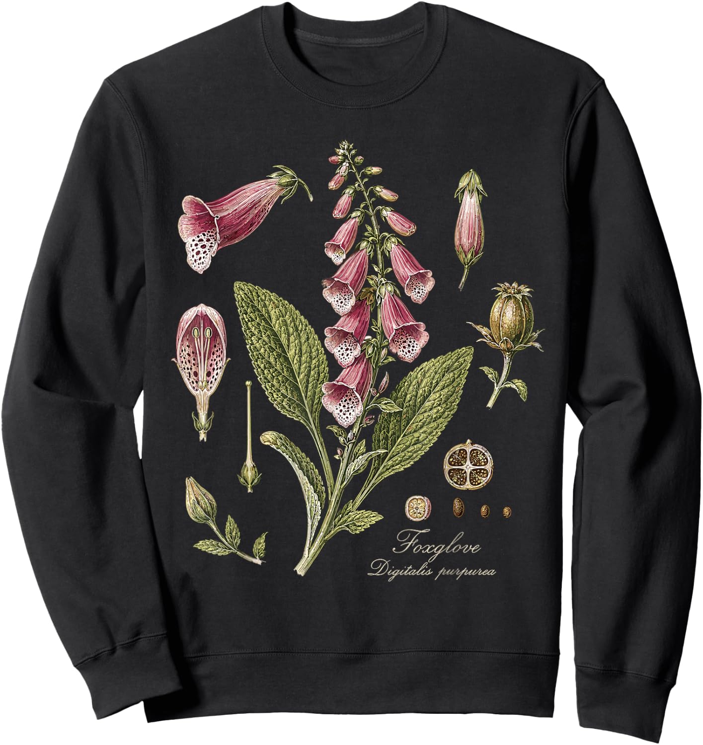 Foxglove Digitalis Purpurea Vintage Botanical Sweatshirt - Sweatshirt | Black
