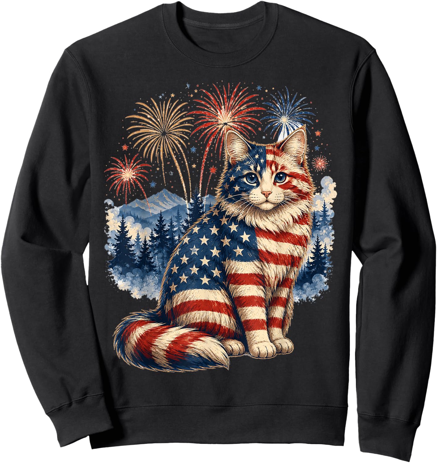 Patriotic Cat Firework 1776 2026 Gifts Women Kids Sweatshirt - Sweatshirt | Black