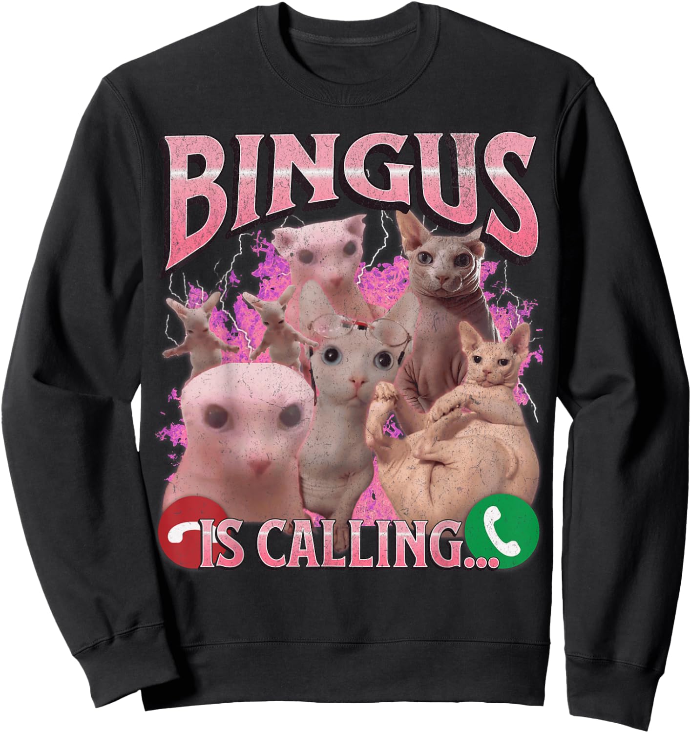 Bingus Is Calling Funny Sphinx Cat Meme Bootleg Graphic Men Women Kids Sweatshirt - Sweatshirt | Black