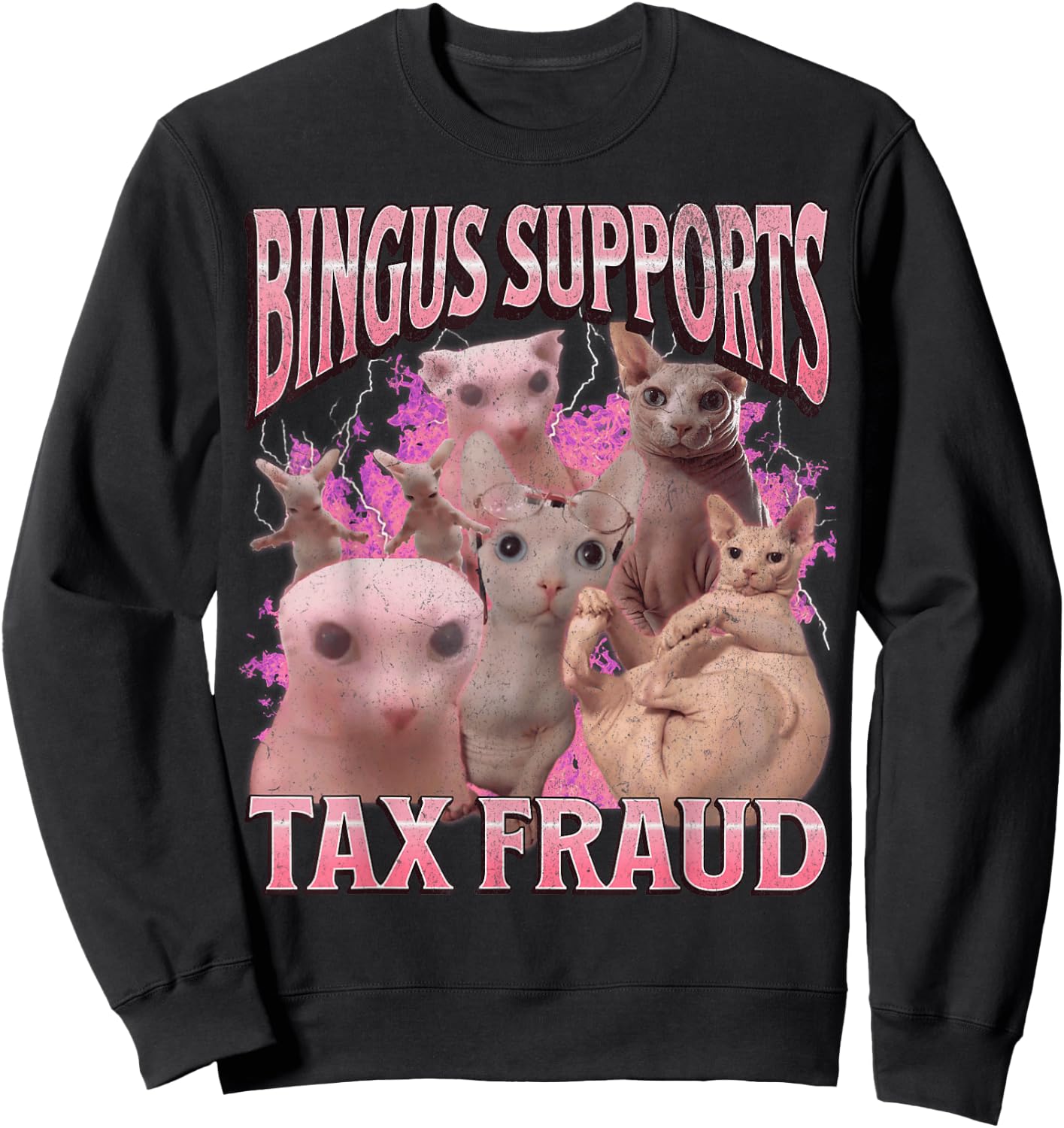 Bingus Supports Tax Fraud Funny Sphinx Cat Meme Bootleg Sweatshirt - Sweatshirt | Black