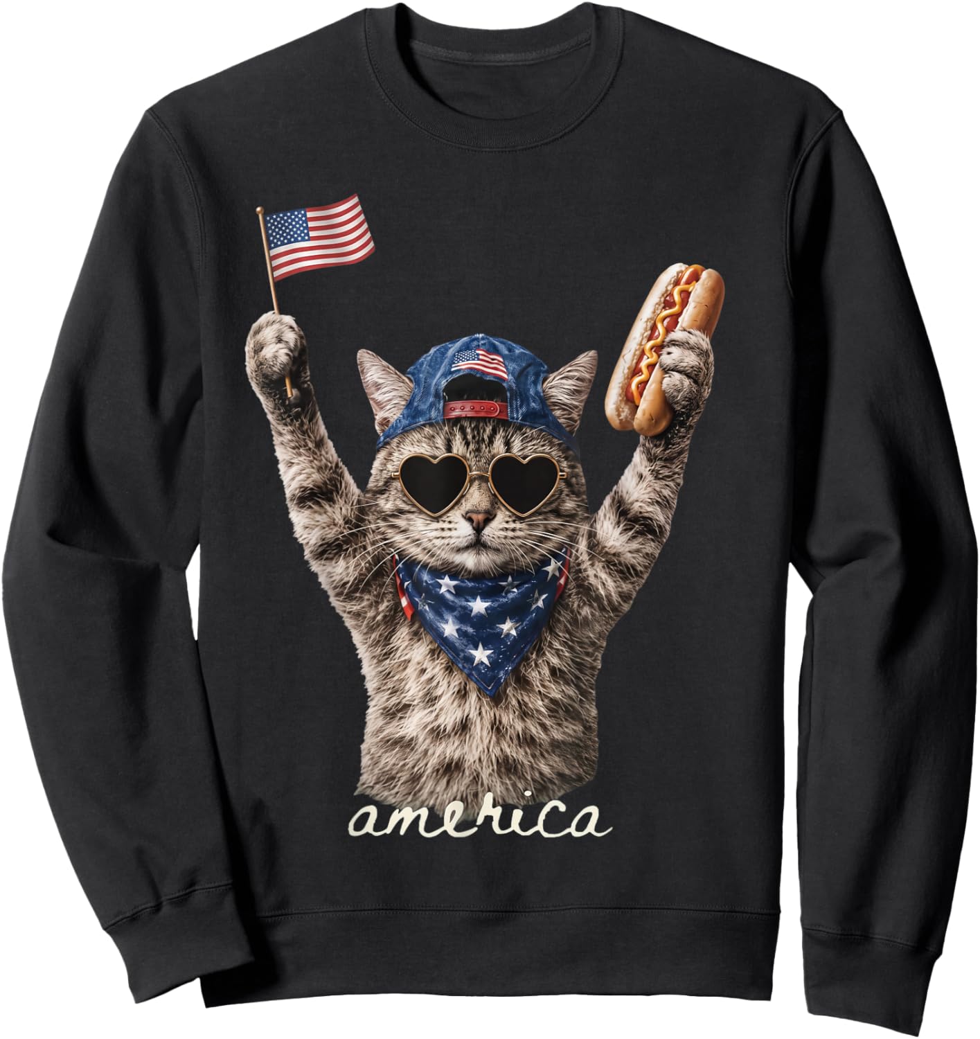 Retro Funny America Cat Hot Dog Lovers Patriotic US Flag Sweatshirt - Sweatshirt | Black