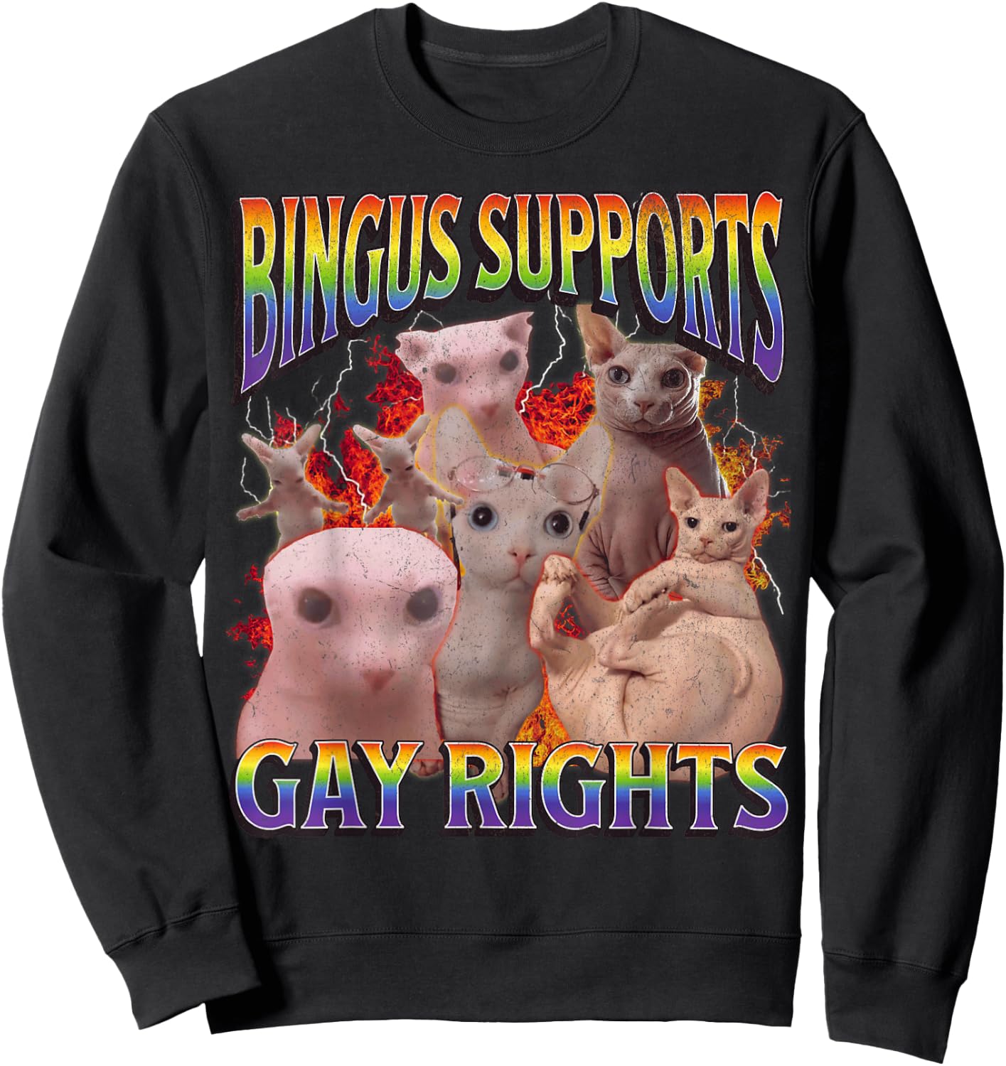 Bingus Supports Gay Rights Funny Sphinx Cat Meme Bootleg Sweatshirt - Sweatshirt | Black