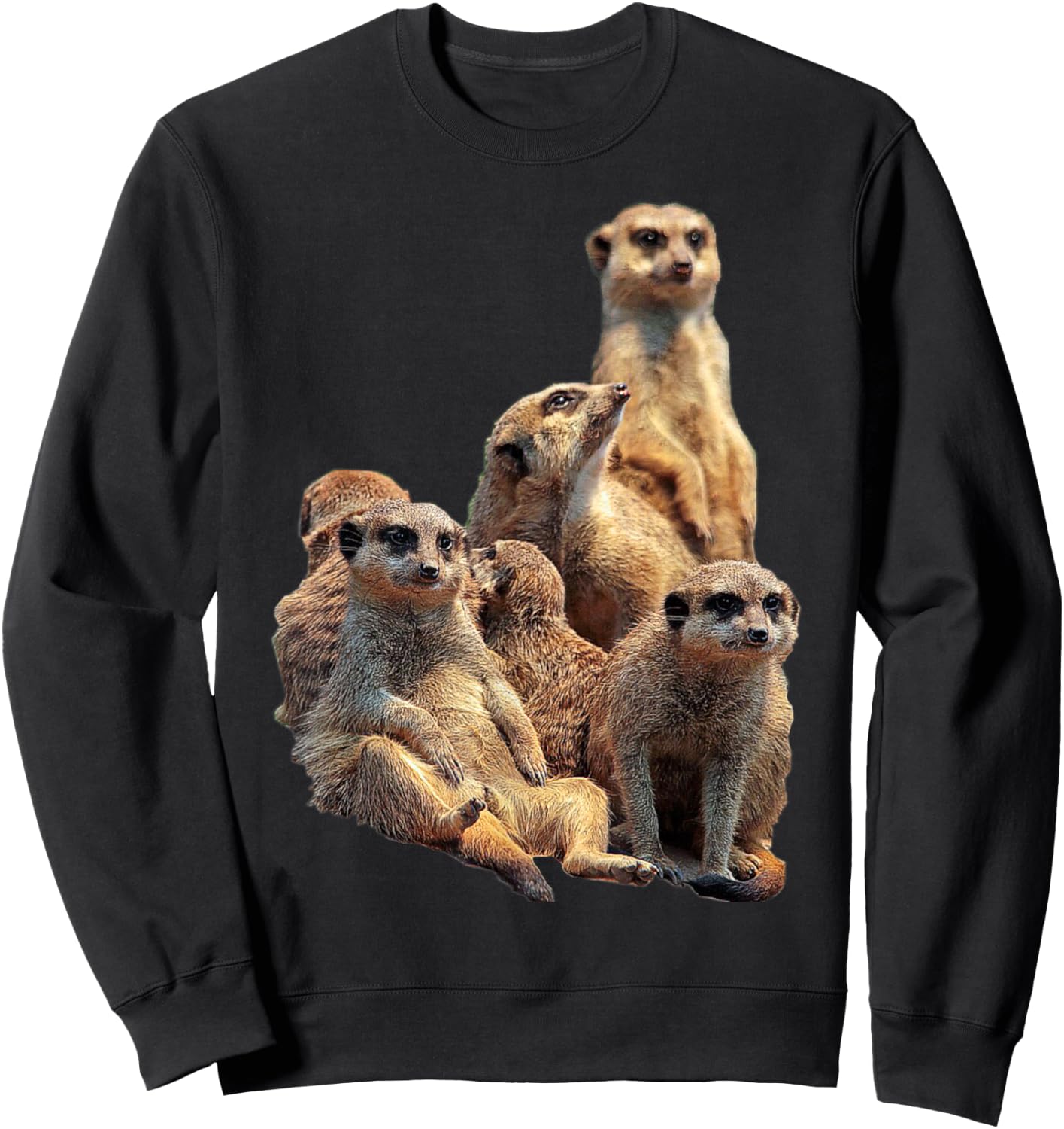 LetterTrunk Meerkat Family in the Kalahari Desert Sweatshirt - Sweatshirt | Black