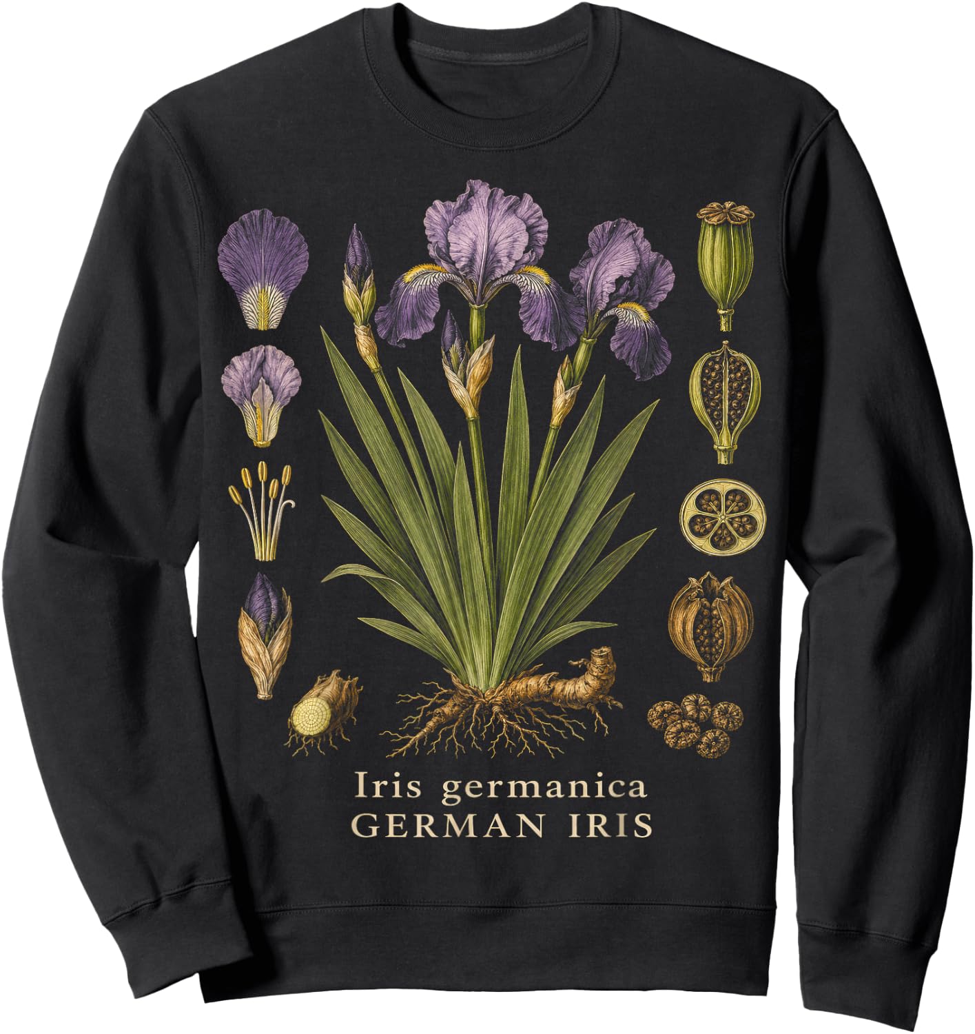 German Iris Botanical Anatomy Vintage Floral Study Sweatshirt - Sweatshirt | Black