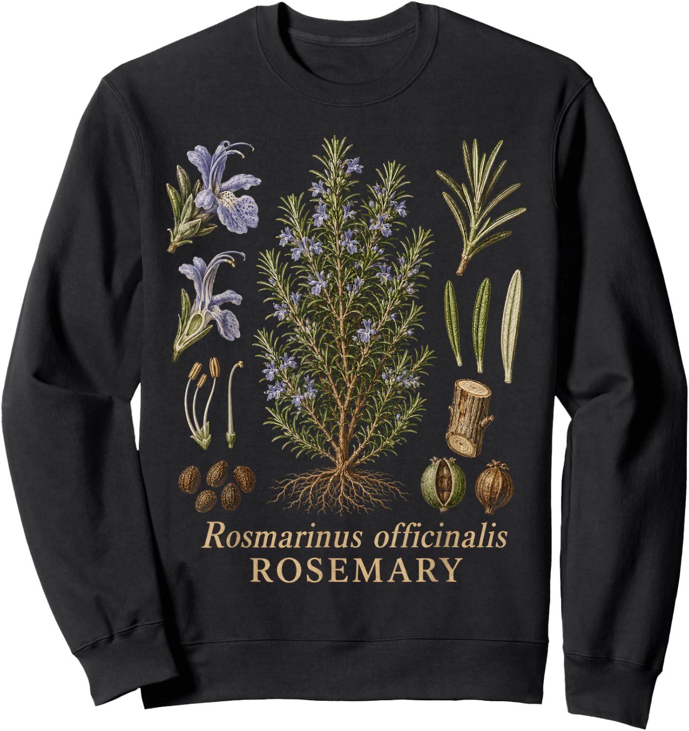 Rosemary Botanical Anatomy Herb Diagram Vintage Style Sweatshirt - Sweatshirt | Black