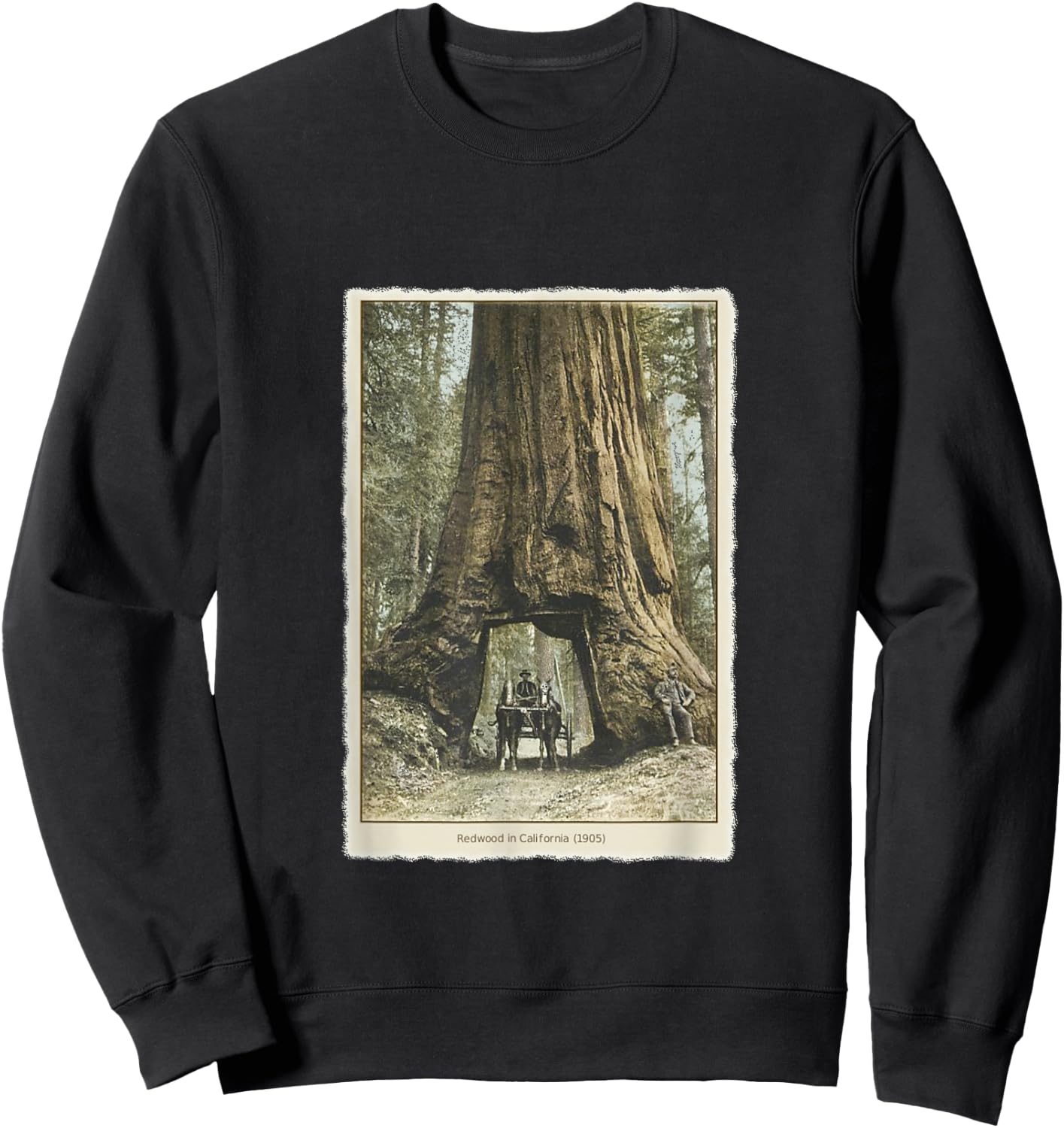 Vintage Redwood Forest T Shirt, California Redwoods Trees Sweatshirt - Sweatshirt | Black