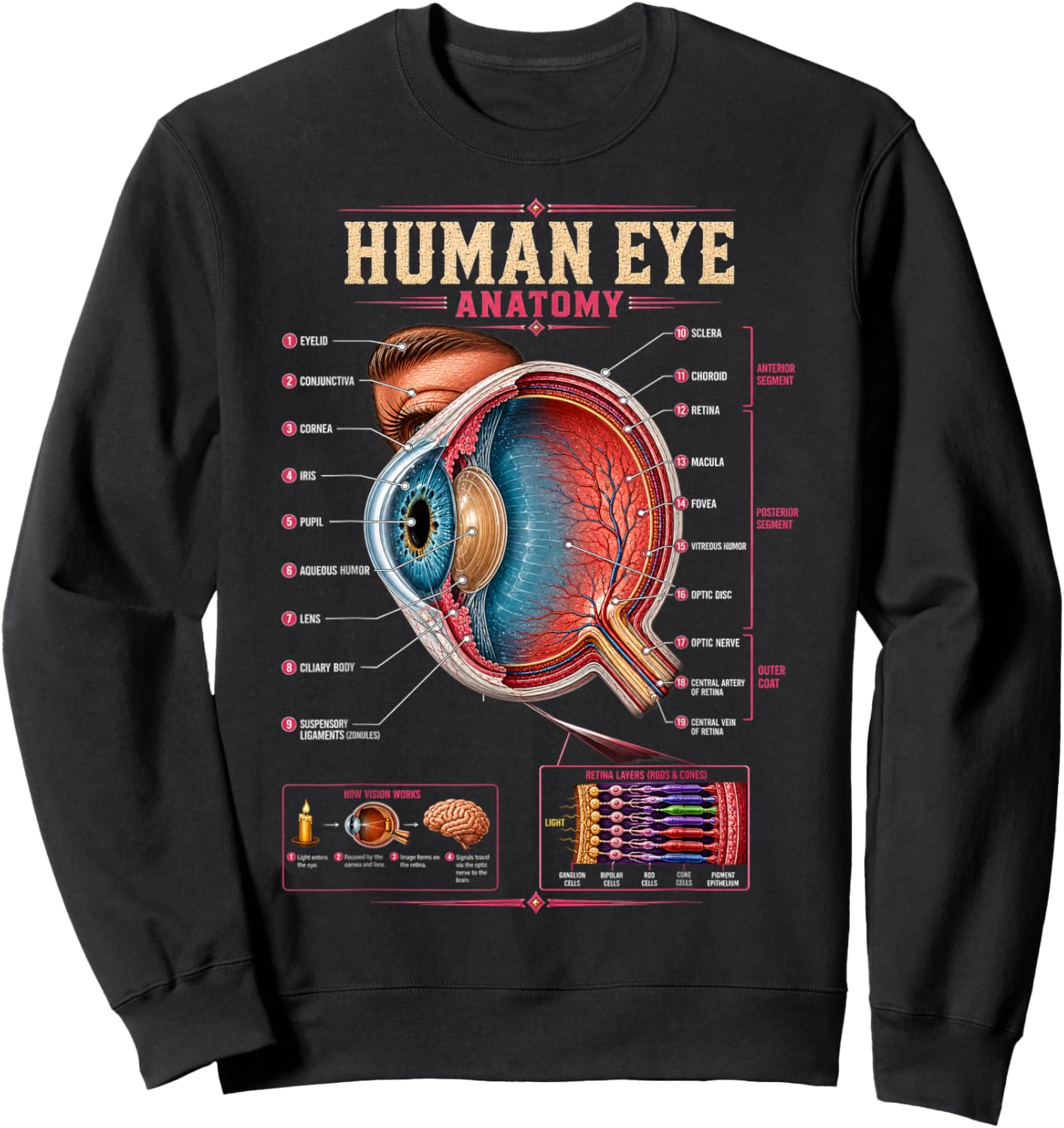 Human Eye Anatomy Biology Science Education Gifts Men Women Sweatshirt - Sweatshirt | Black