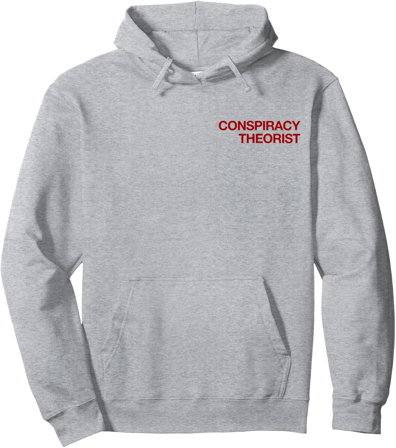 Conspiracy Theorist (with print on back - backprint) Hoodie - Hoodie | Ash