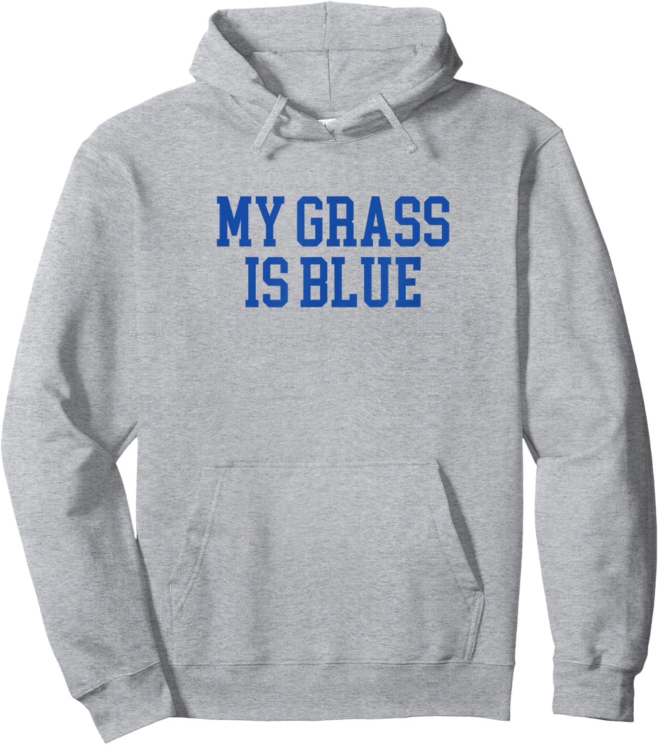 My Grass Is Blue - Simple Minimalist Retro Bluegrass Hoodie - Hoodie | Ash