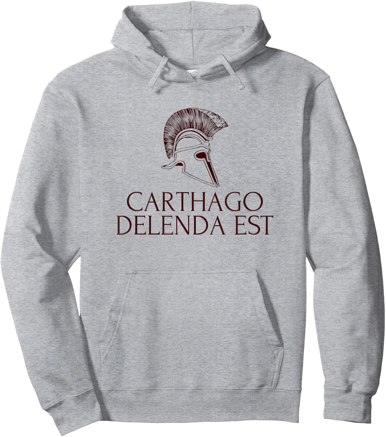 Carthago Delenda Est - Carthage Shirt Hoodie - Hoodie | Ash