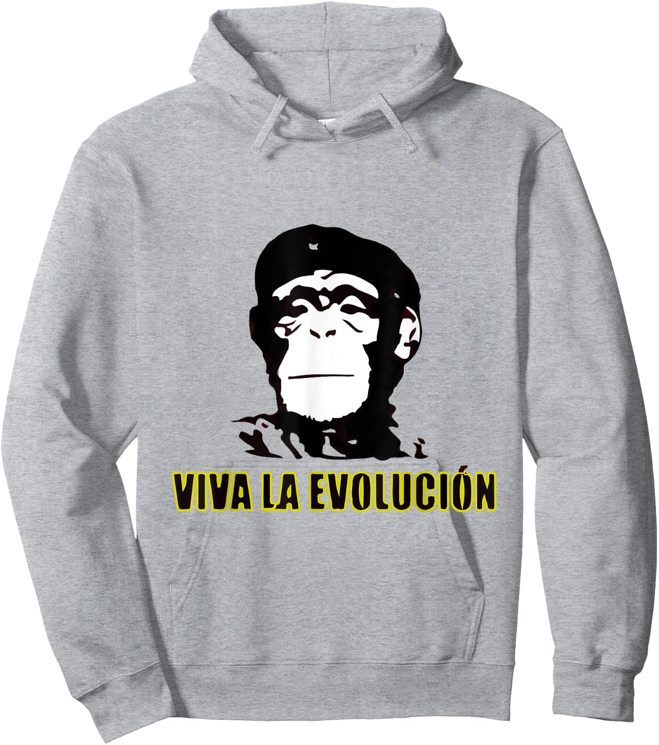 Viva La Evolucion Hoodie - Hoodie | Ash