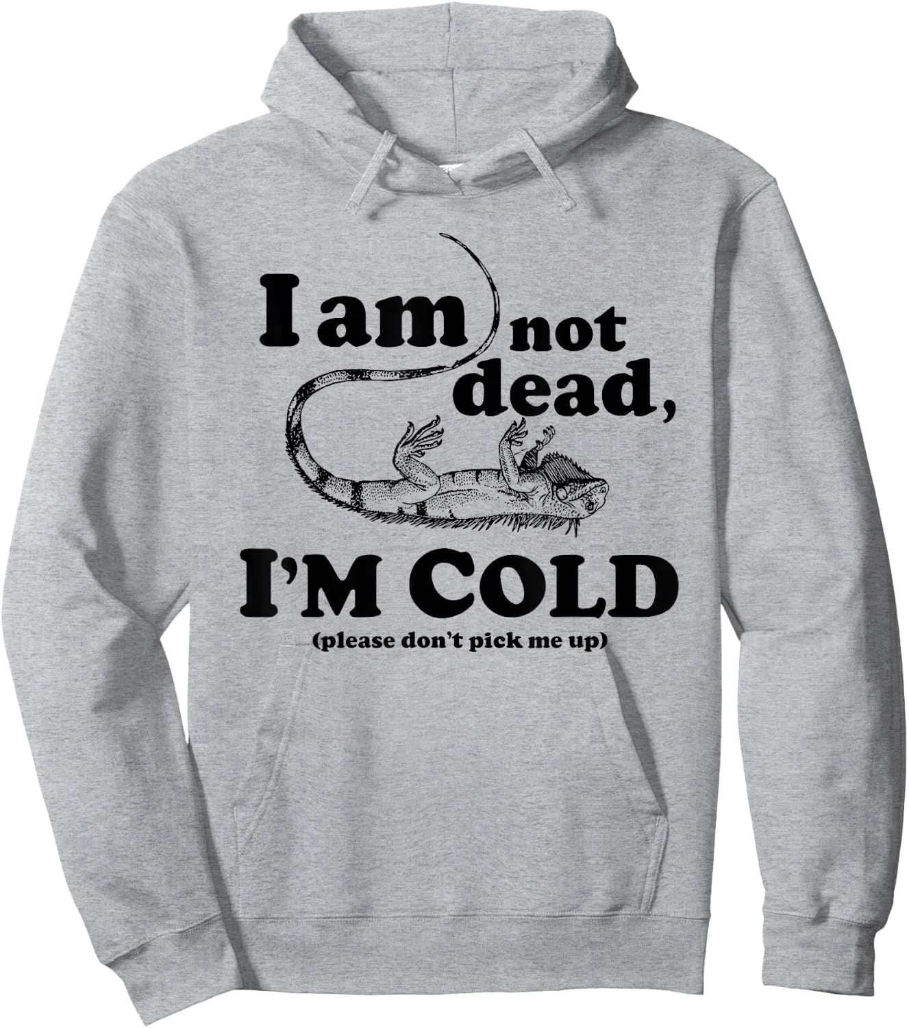 Frozen Iguana Shirt Hoodie - Hoodie | Ash