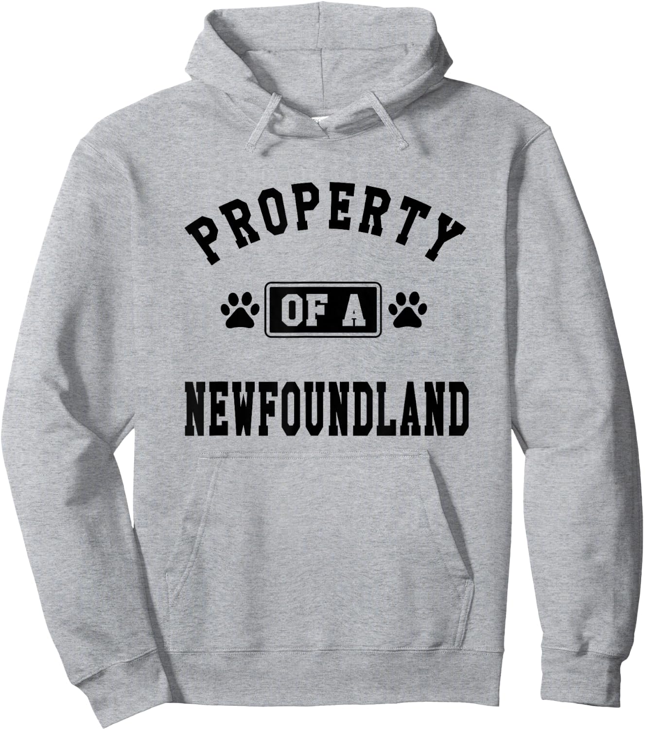 Property Of Newfoundland - Funny Newfoundland Lover Shirt Hoodie - Hoodie | Ash