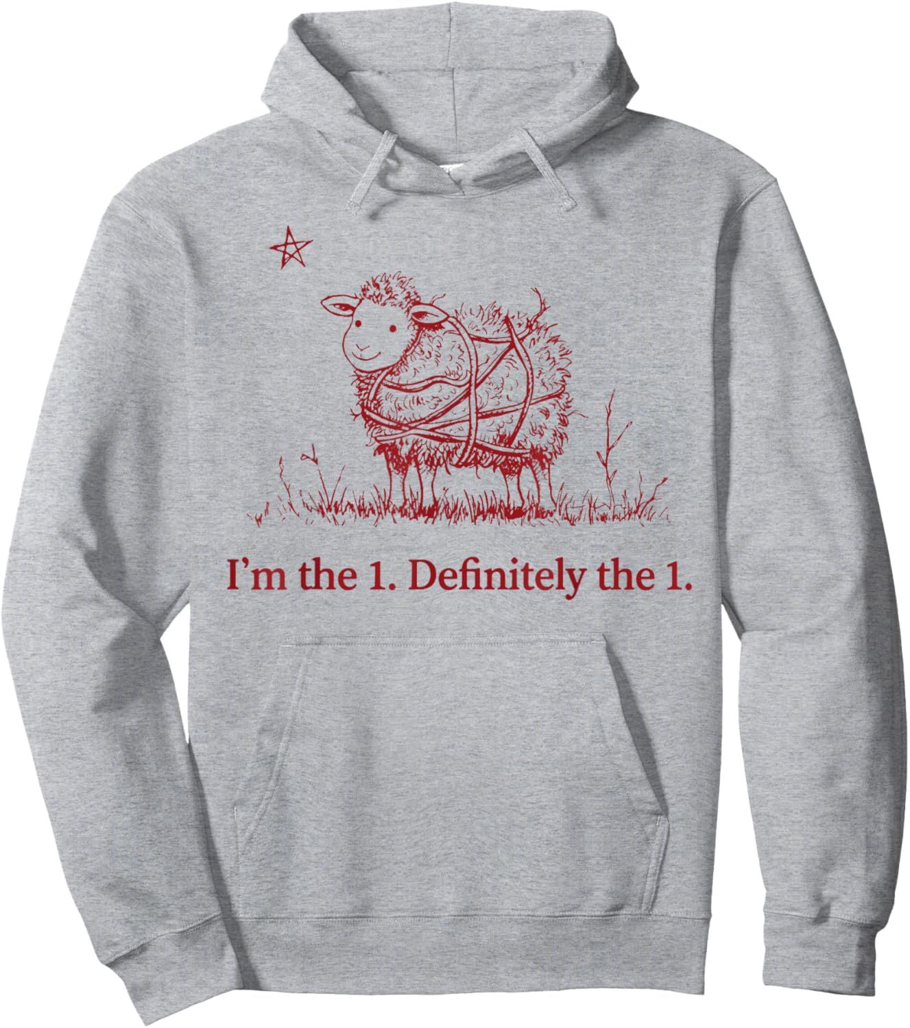 I'm The 1 Definitely The 1- Parable of The Lost Sheep Hoodie - Hoodie | Ash