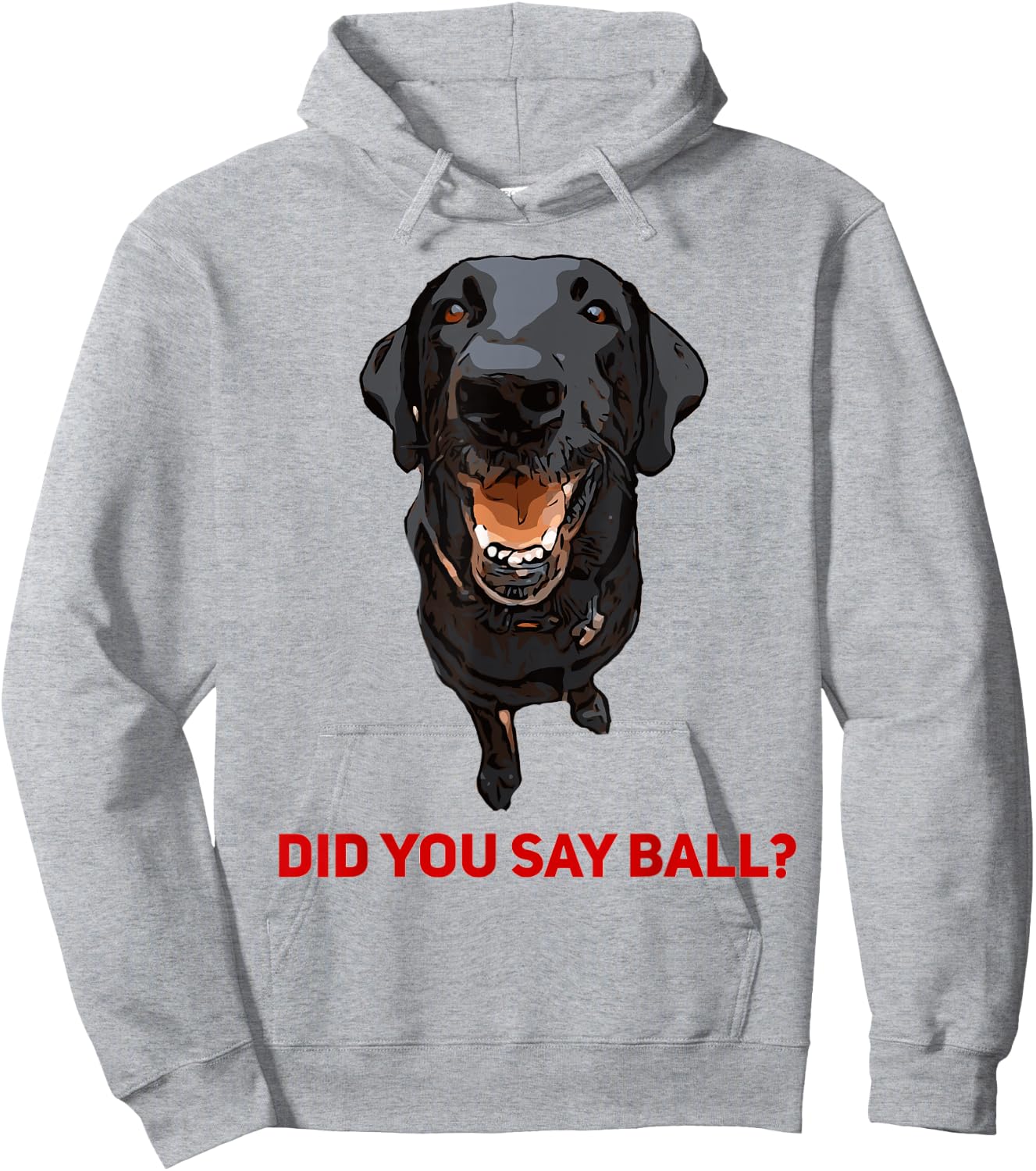 Black Lab Did you say Ball ? Hoodie - Hoodie | Ash